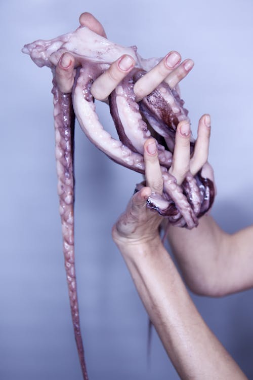 Photo of Person's Hands Holding Tentacles