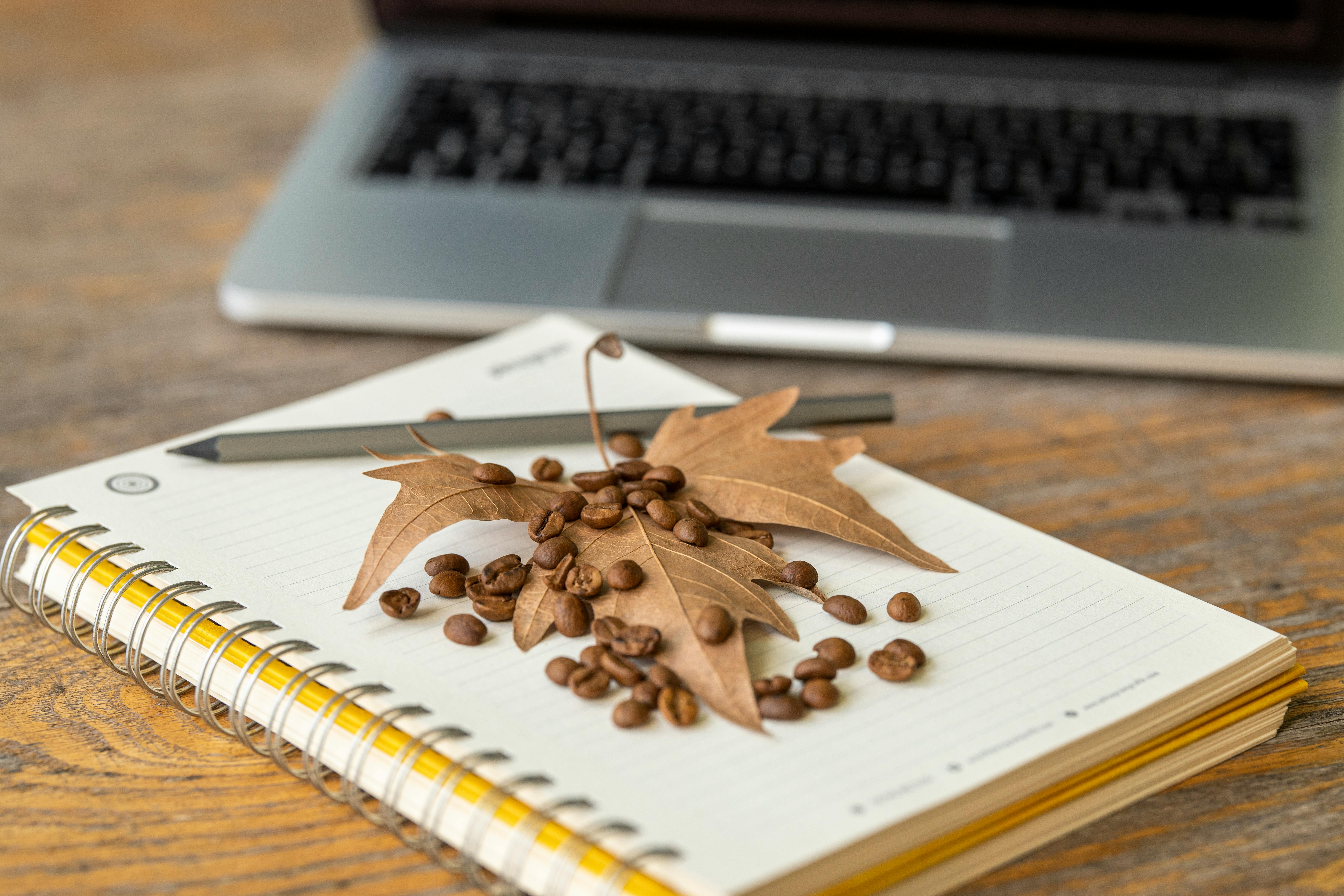 Brown Leaf and Coffee Beans On A Notebook