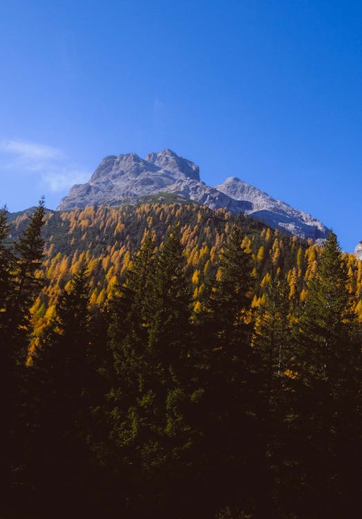 Free Photo Of Mountain During Daytime Stock Photo