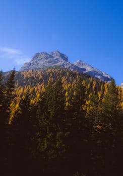 蔚蓝的天空下，色彩缤纷的秋季树木映衬着美丽的山景