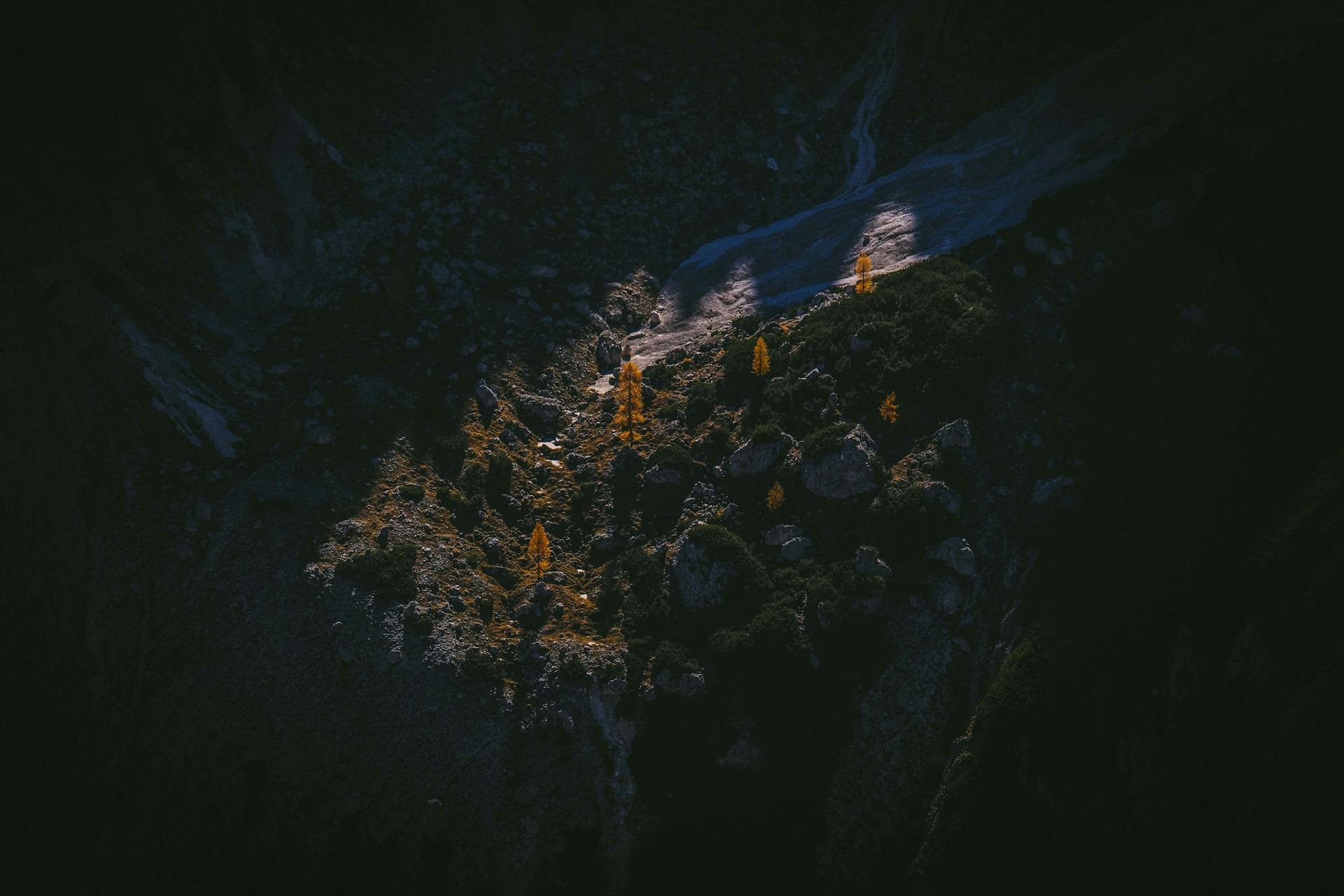 Plants on Mountain Slope