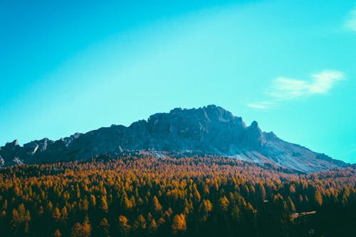 Photo Of Mountain During Daytime