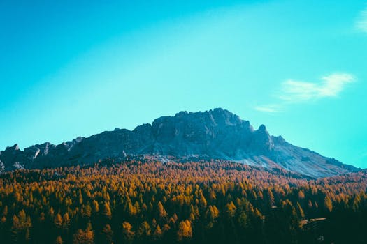 Breathtaking view of a mountain range with autumnal trees and bright blue sky, perfect for nature enthusiasts.