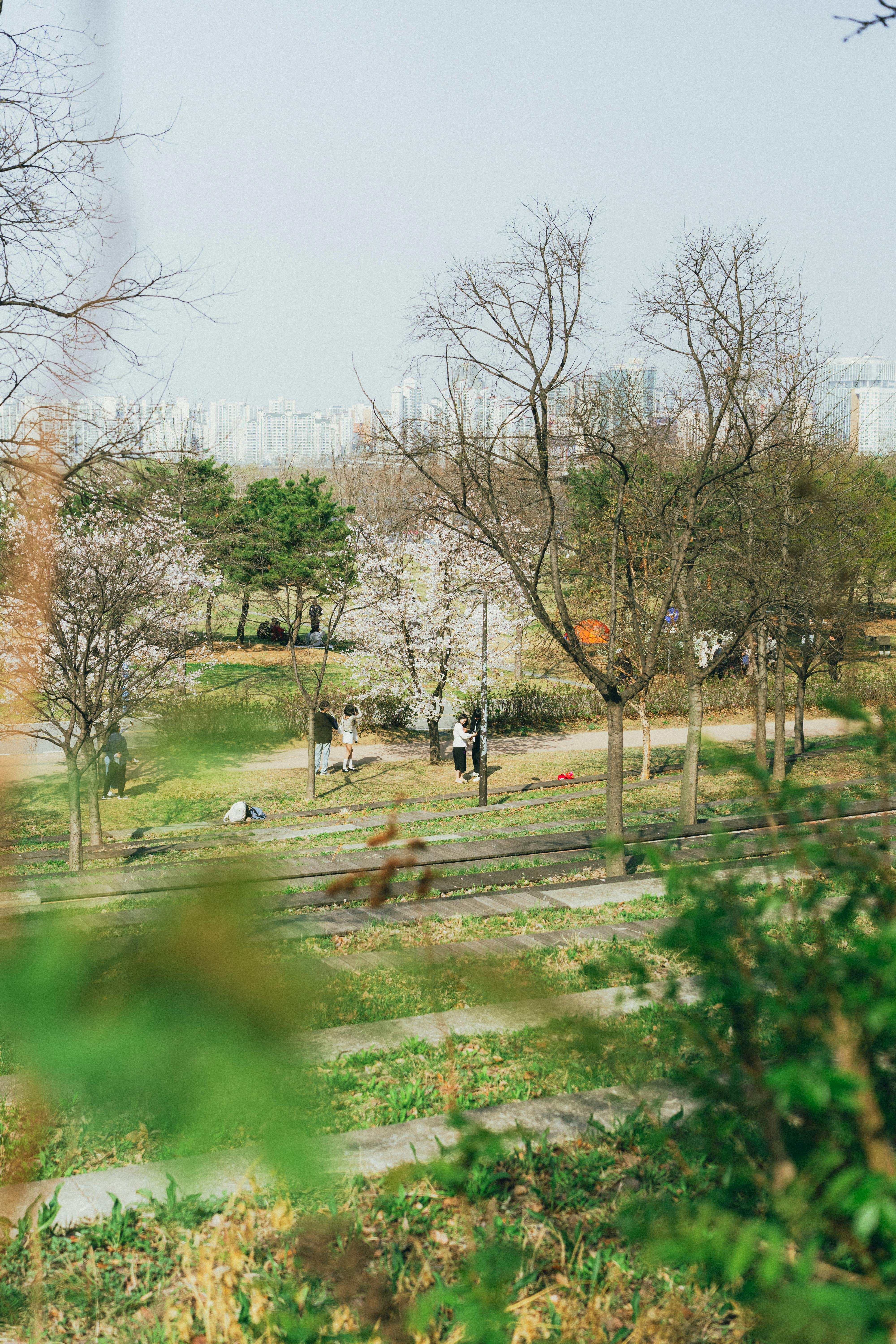 에어서울 여권번호 변경