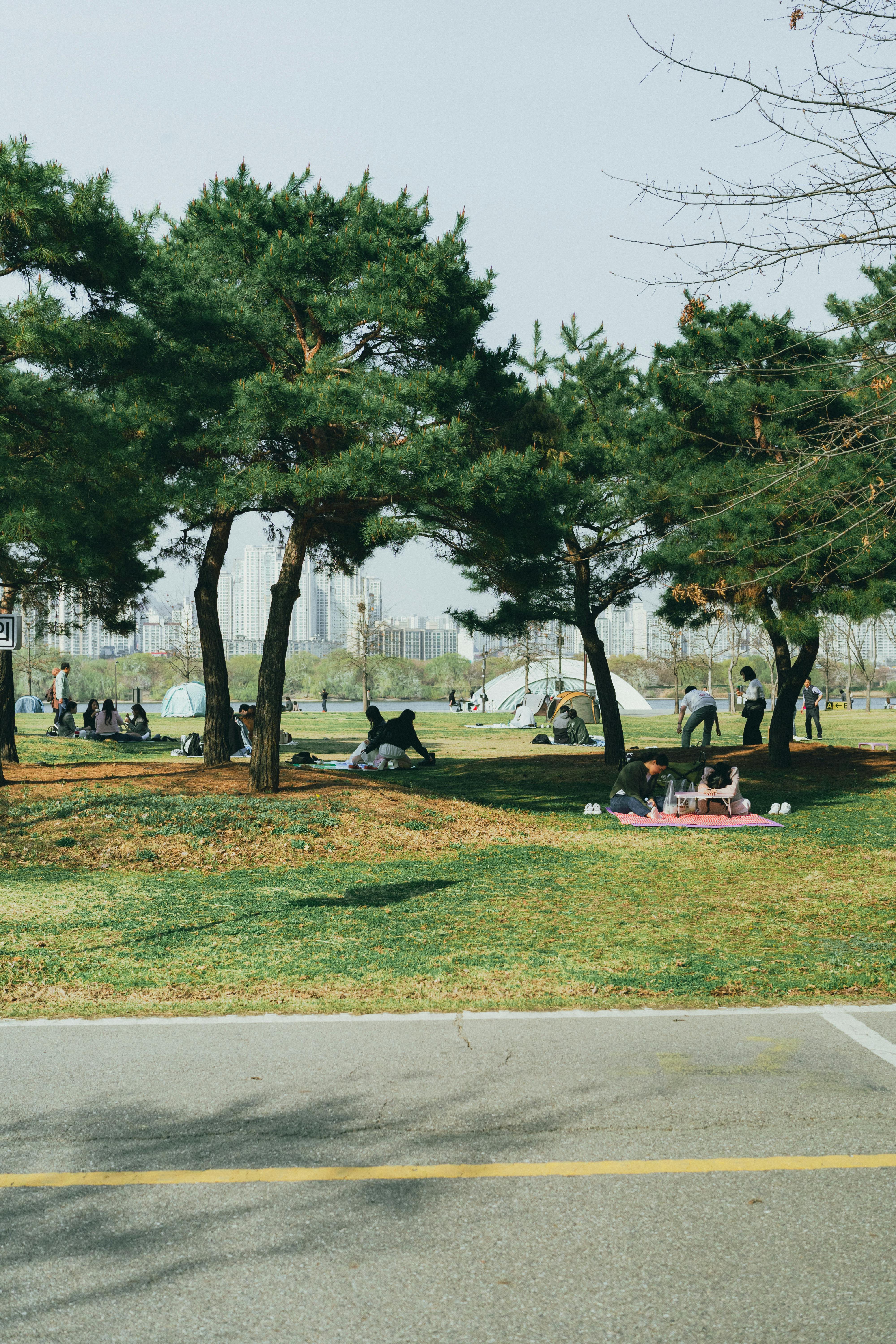 코리아써키트 채용