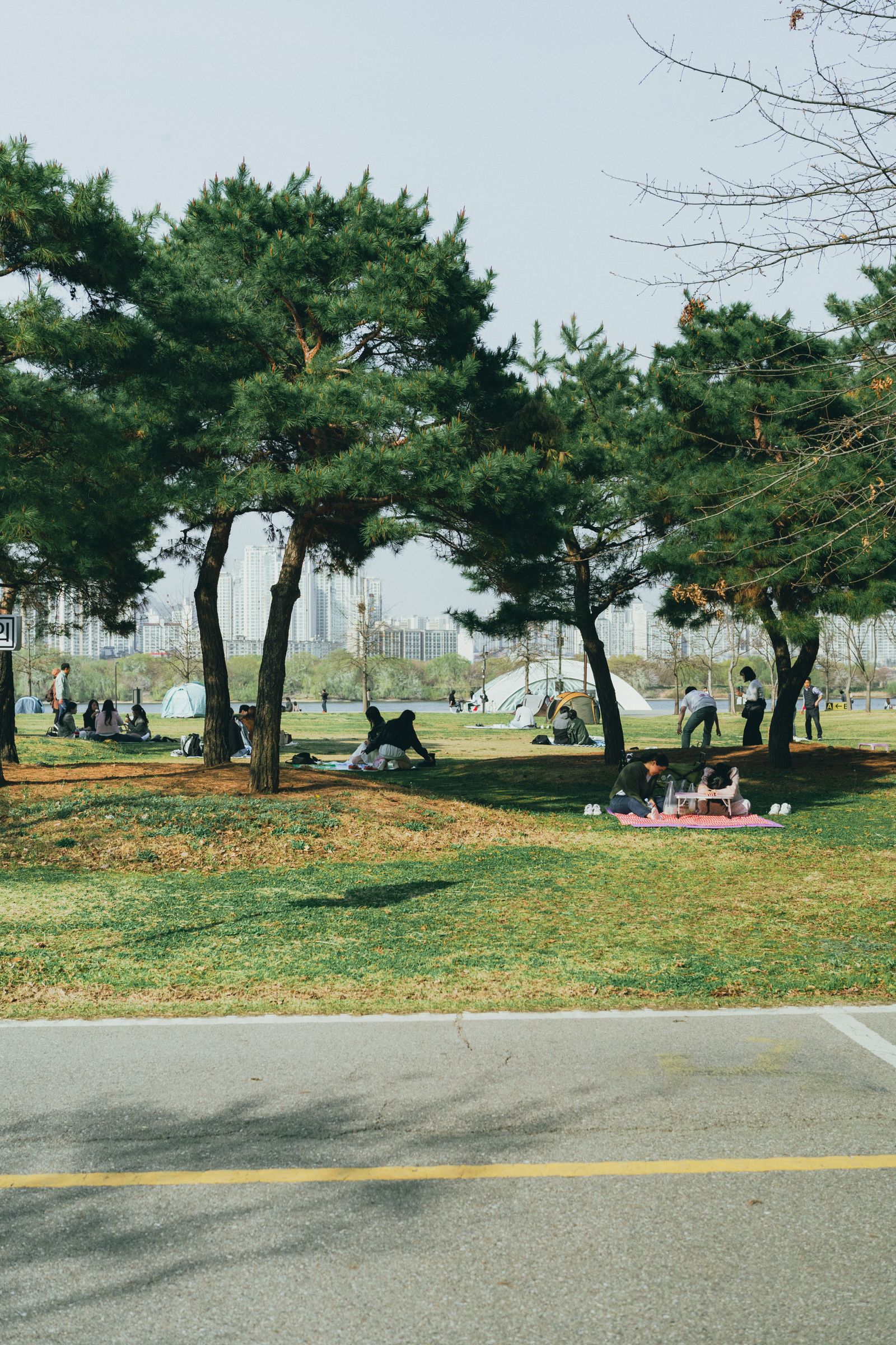 반포 한강공원에서 돗자리를 펴고 한강 피크닉을 즐기는 사람들