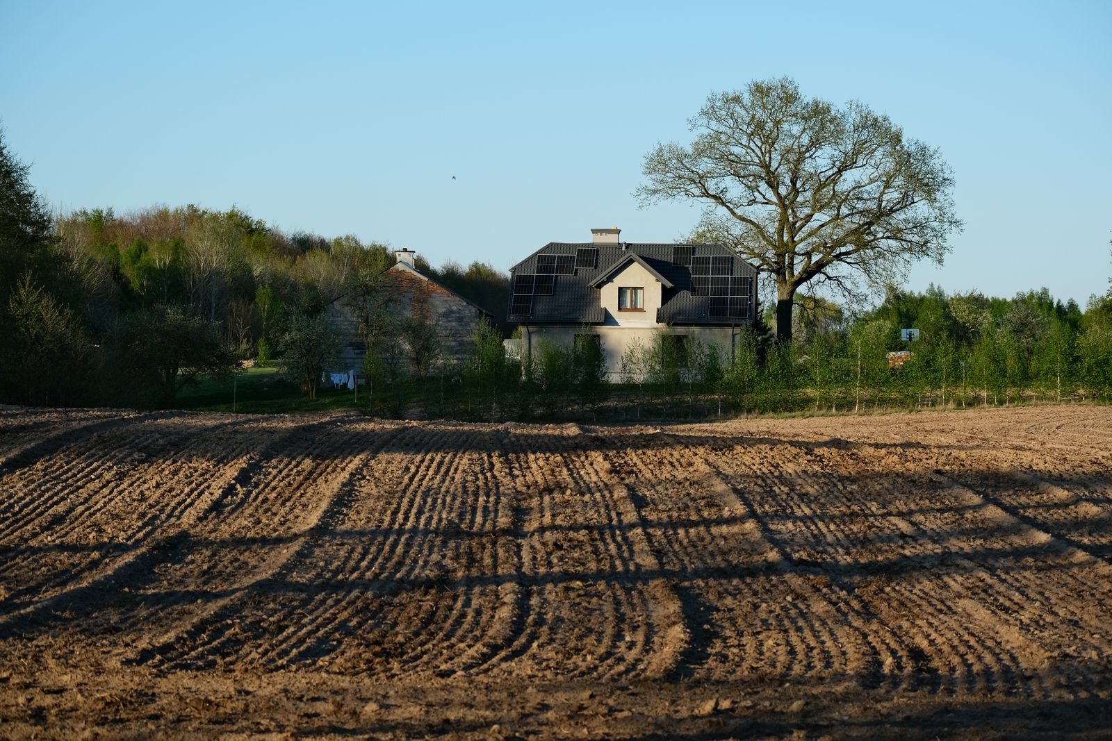 Modern house with solar panels surrounded by field and trees on a clear spring day
