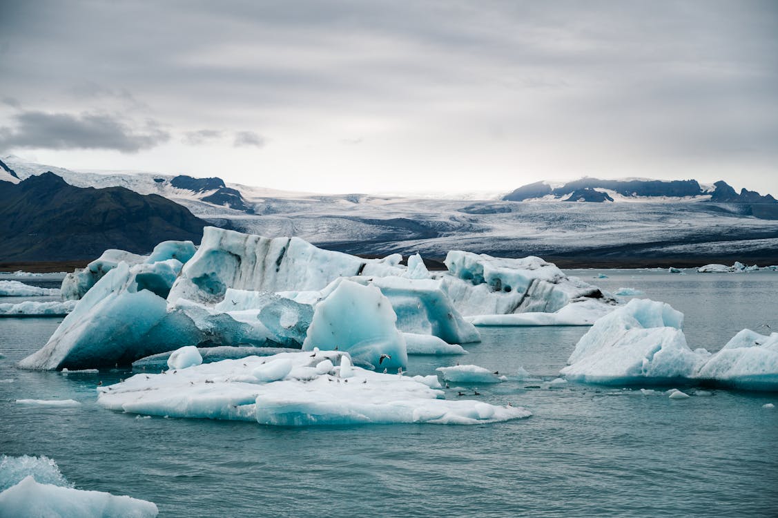 Foto De Icebergs Durante El Día
