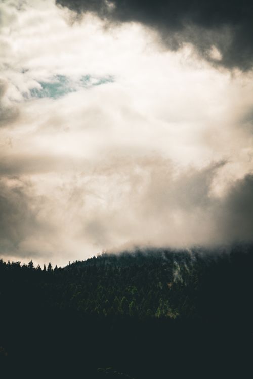 Free Moody clouds hover over a dark forest, creating a dramatic scenic view. Stock Photo