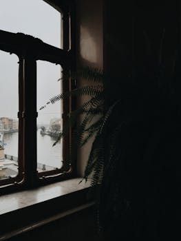 透过窗户，点缀着郁郁葱葱的蕨类植物叶子，可以欣赏到河流和城市景观的宁静景色