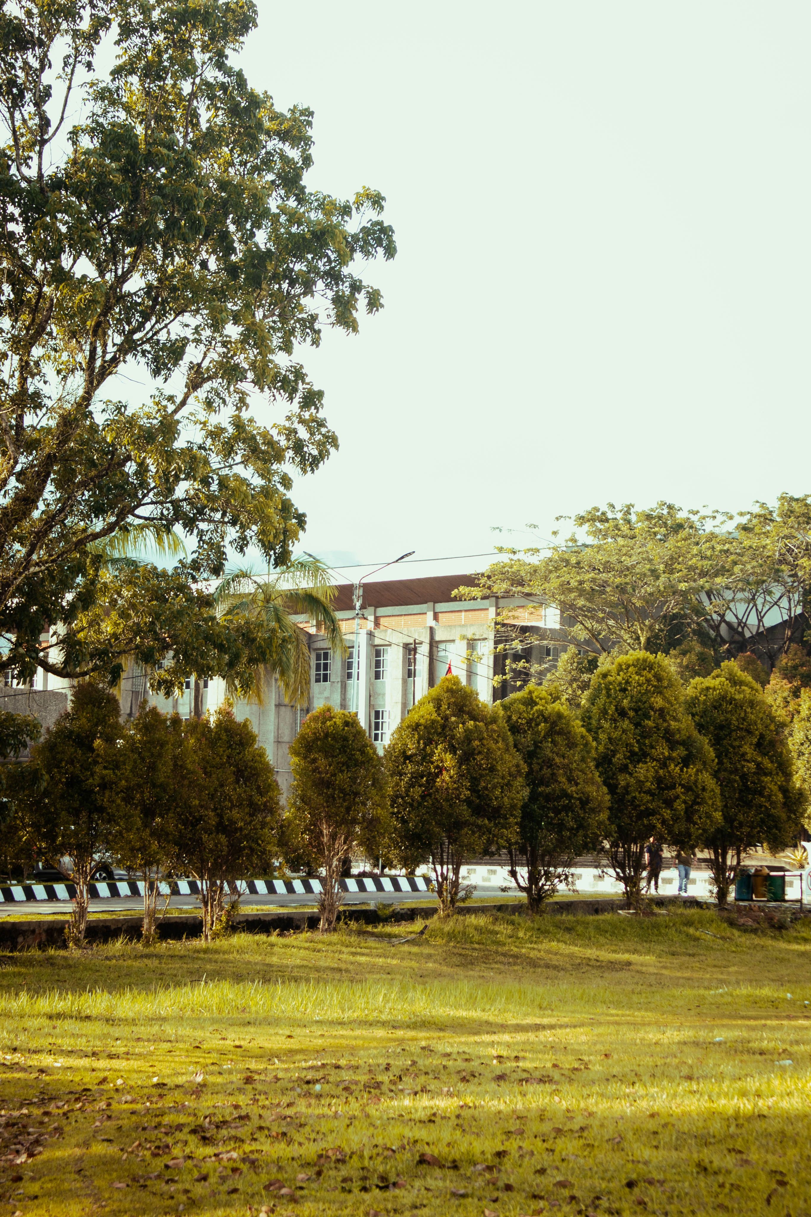 Tranquil Urban Landscape with Vintage Architecture