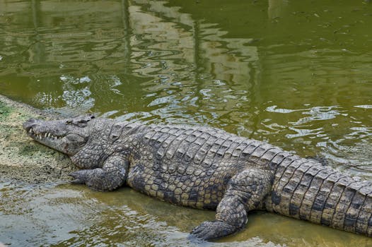 Saint-Seurin-de-Bourg