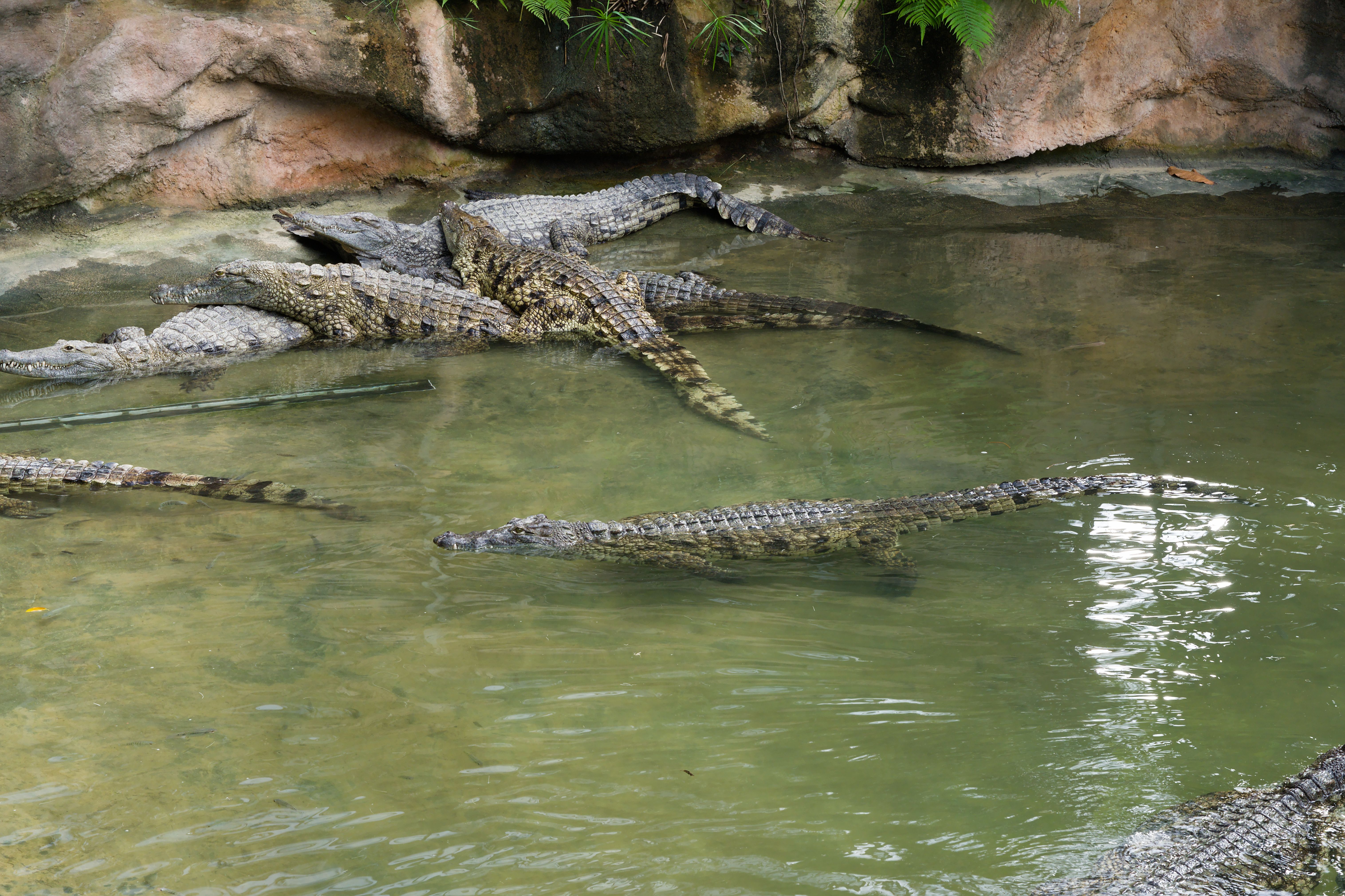 Tips for Planning Your Wildlife Sanctuary Visit