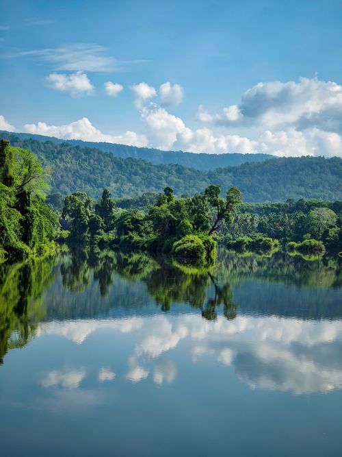 Free Peaceful forest scenery with a clear lake reflecting lush greenery and blue sky in KL, India. Stock Photo