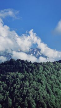 White clouds drift over a snowy mountain peak above a lush green forest under a clear blue sky.