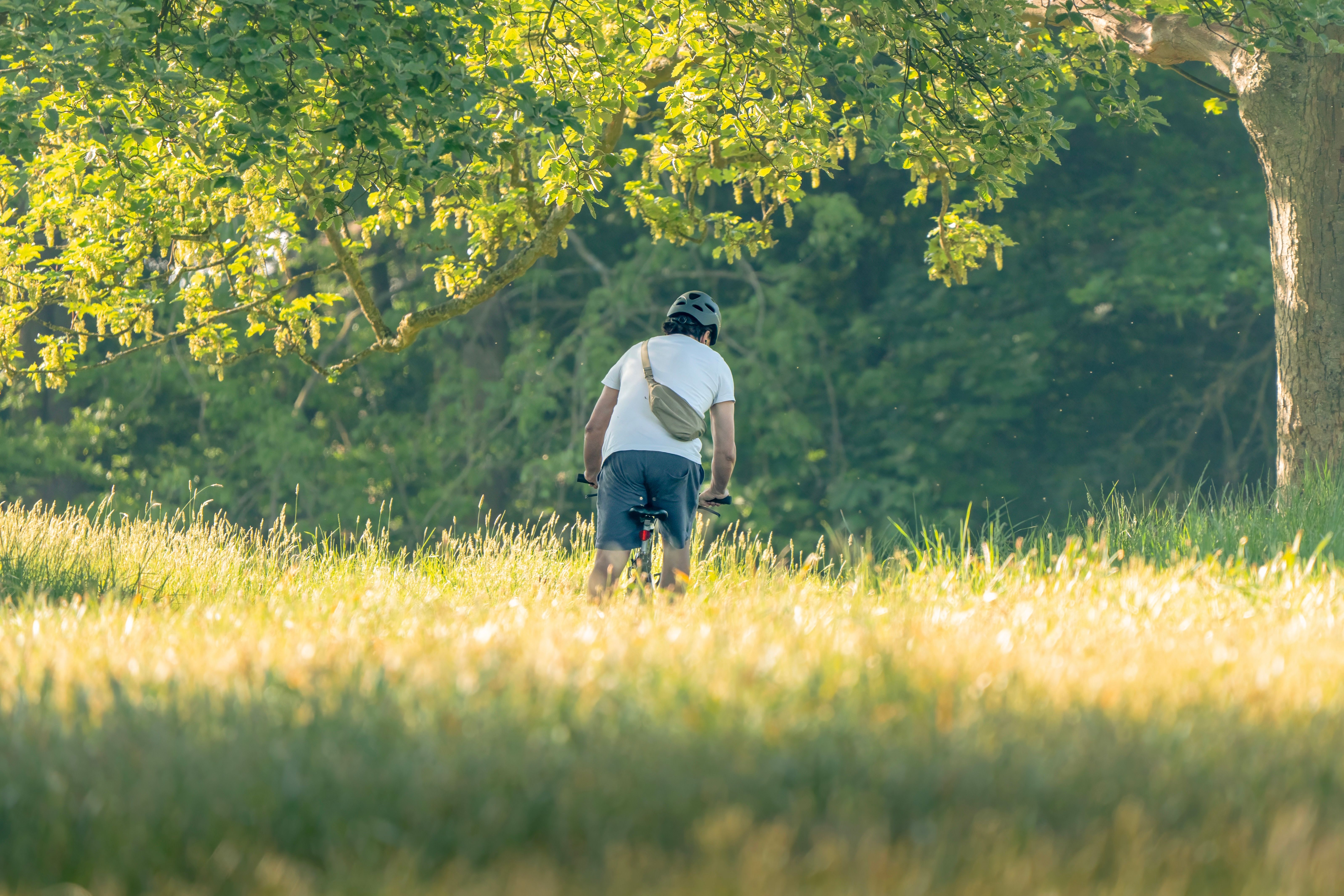 general lifestyle — Photo by Karl  Byron on Pexels