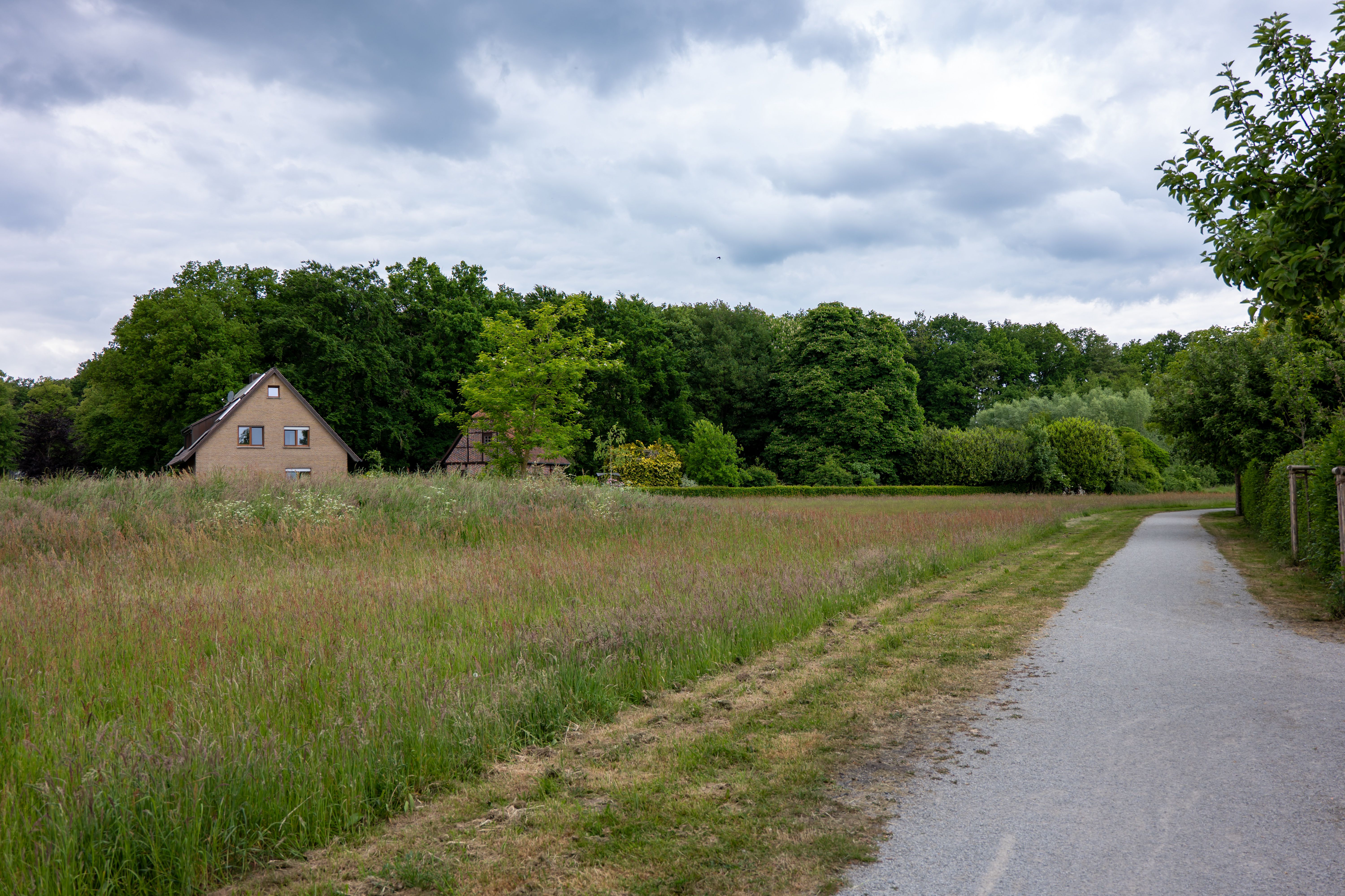 Post-war high-rise flats behind a broad green verge on one of the dreven in Overvecht, Utrecht