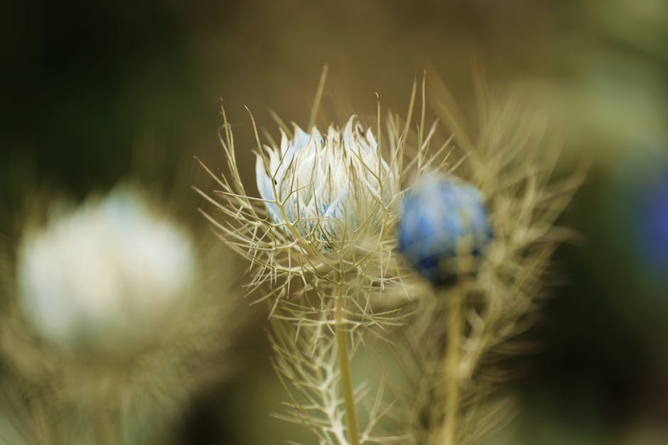 Understanding Scent Preferences: How Fragrances Influence Your Mood