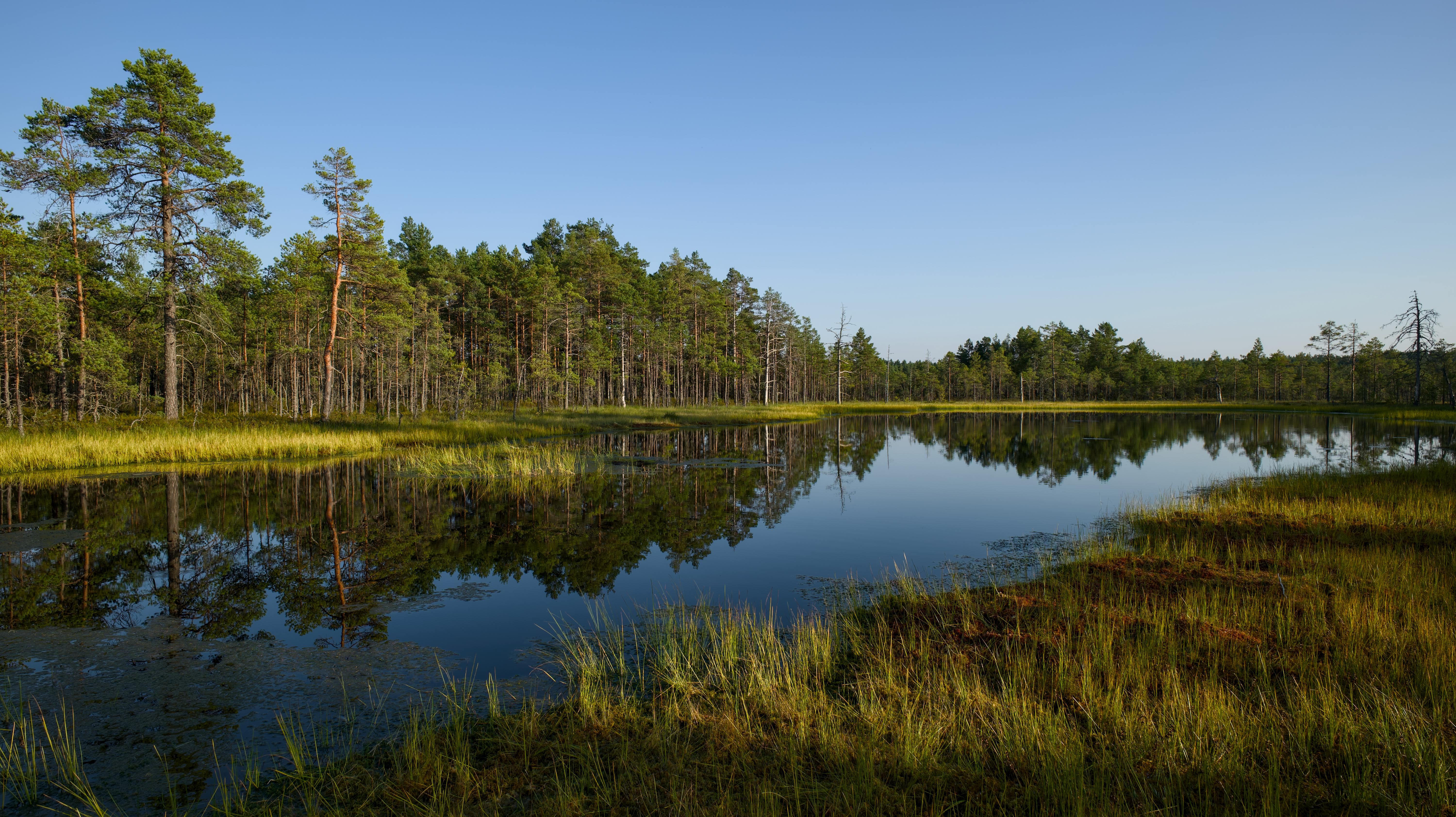 Global Wetland Outlook 2025 Highlights Rapid Wetland Loss and Need for Action