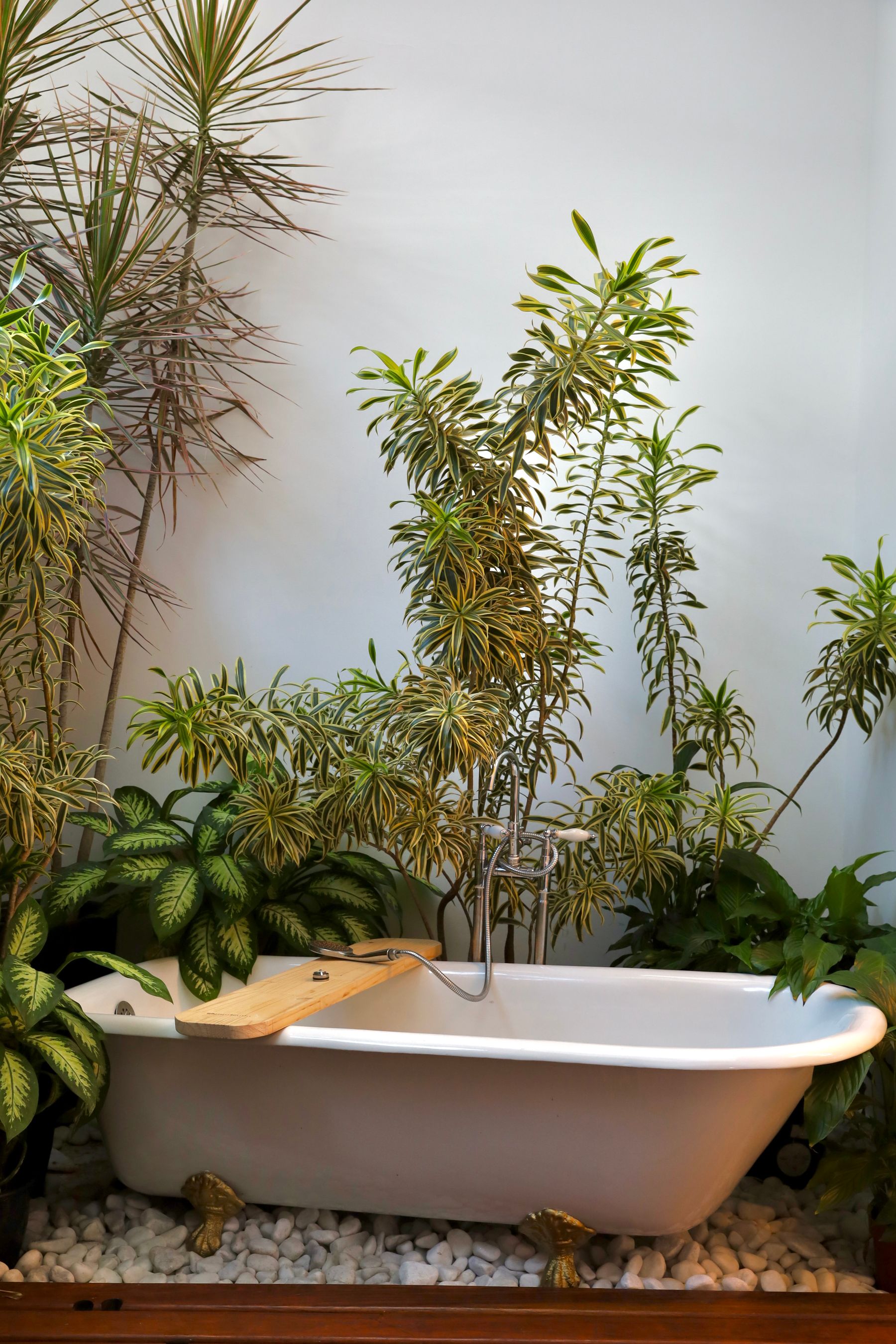 Mindful movement practice in a serene wellness setting