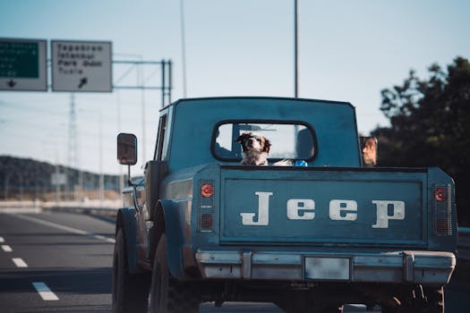 A vintage blue Jeep with a dog in the back traveling on a highway.