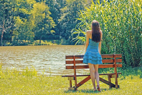 Free Full Length Rear View of a Woman Overlooking Calm Lake Stock Photo