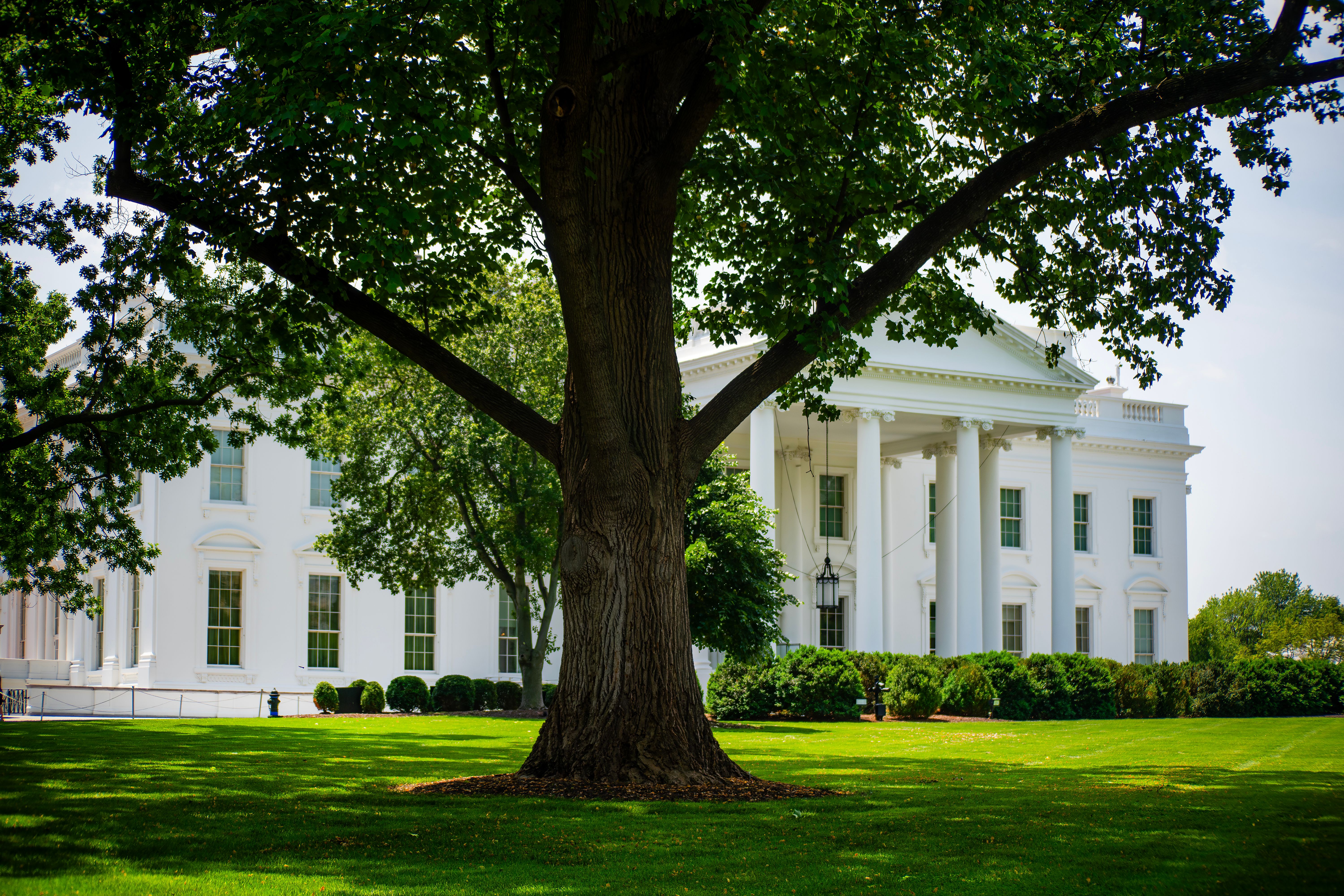 White House · Free Stock Photo