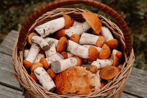 Mushrooms In A Basket