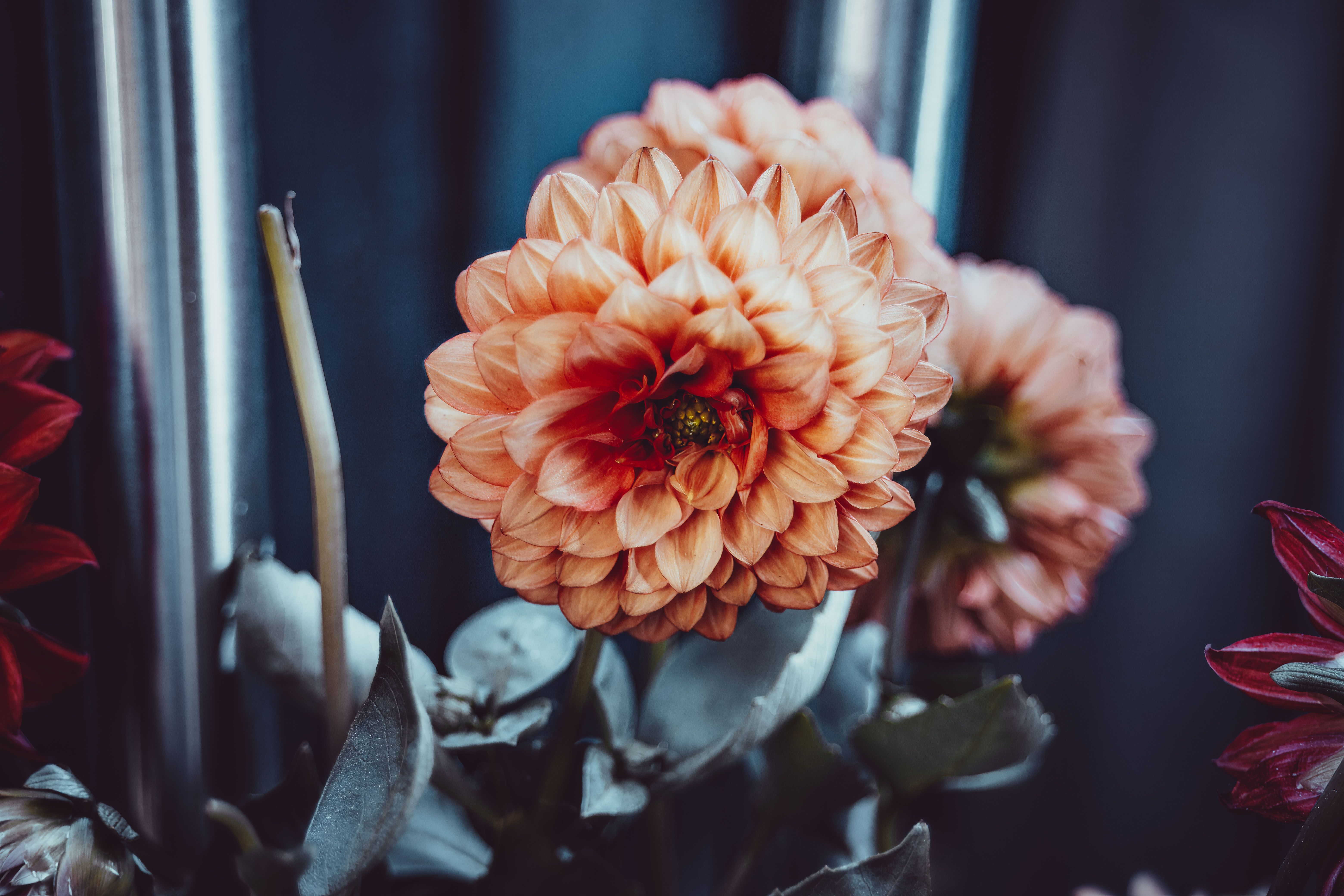 Bootstrap+Plantillas Photos, Download The BEST Free Bootstrap ...