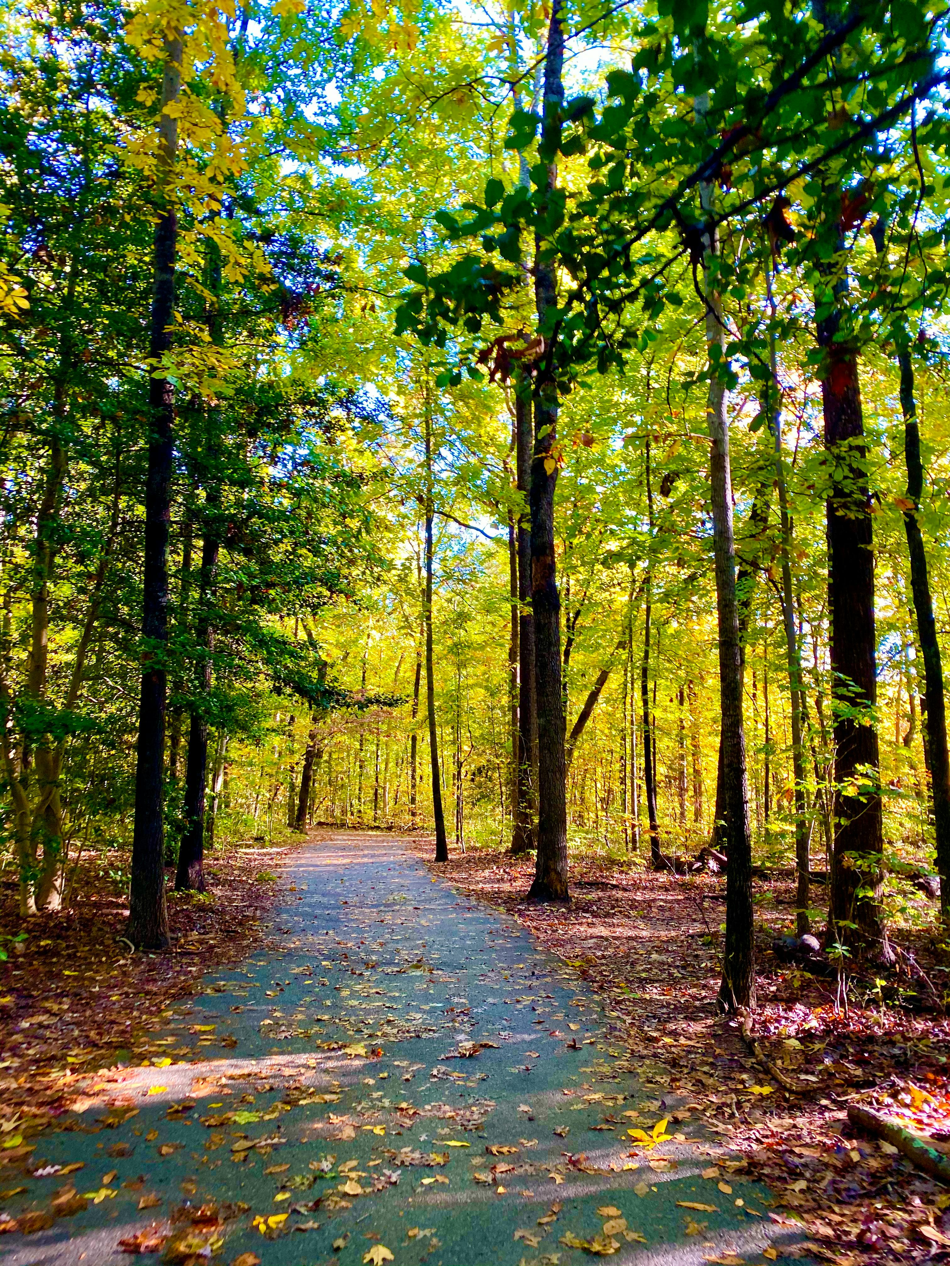 Pessoa a trabalhar num computador com gráficos de SEO