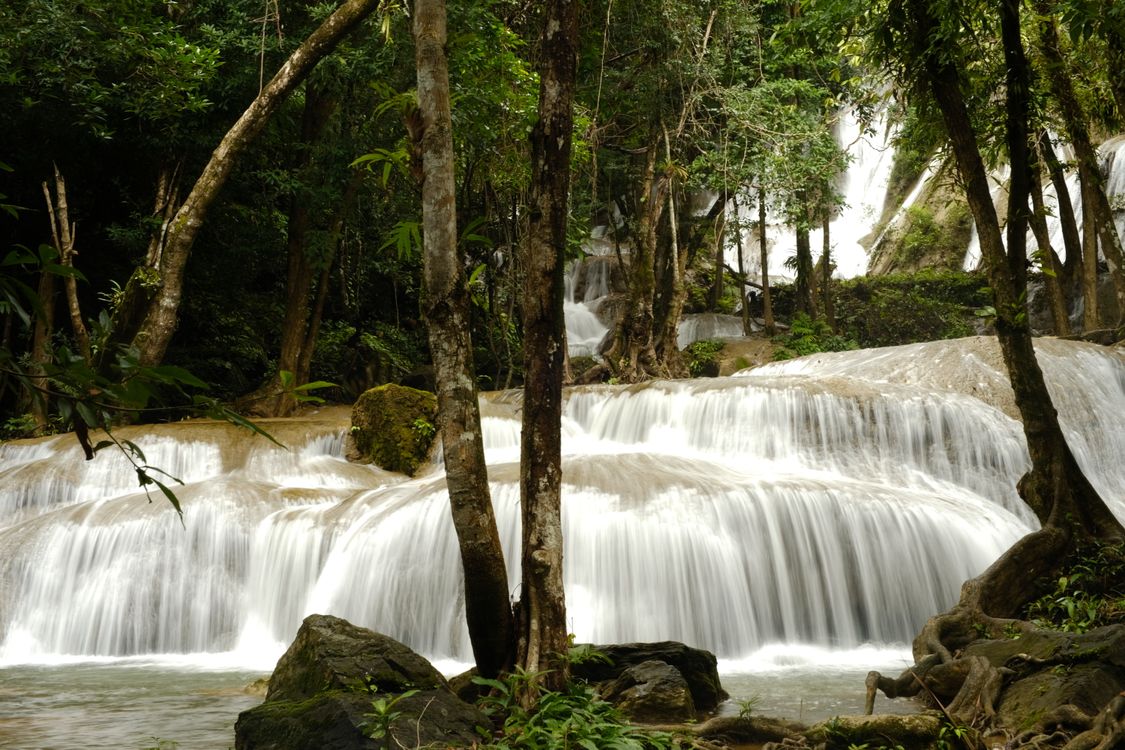 Doi Inthanon National Park mountain landscape with misty forest and cloudy sky in Thailand
