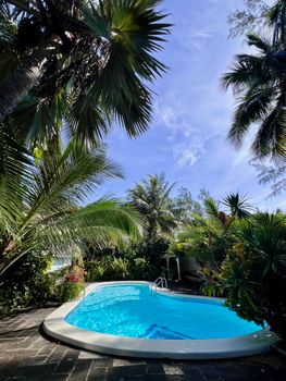 Serene tropical pool surrounded by lush palm trees under a bright blue sky.