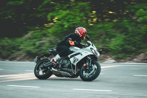 Free A motorcyclist wearing full gear speeds down a winding road against a forest backdrop. Stock Photo