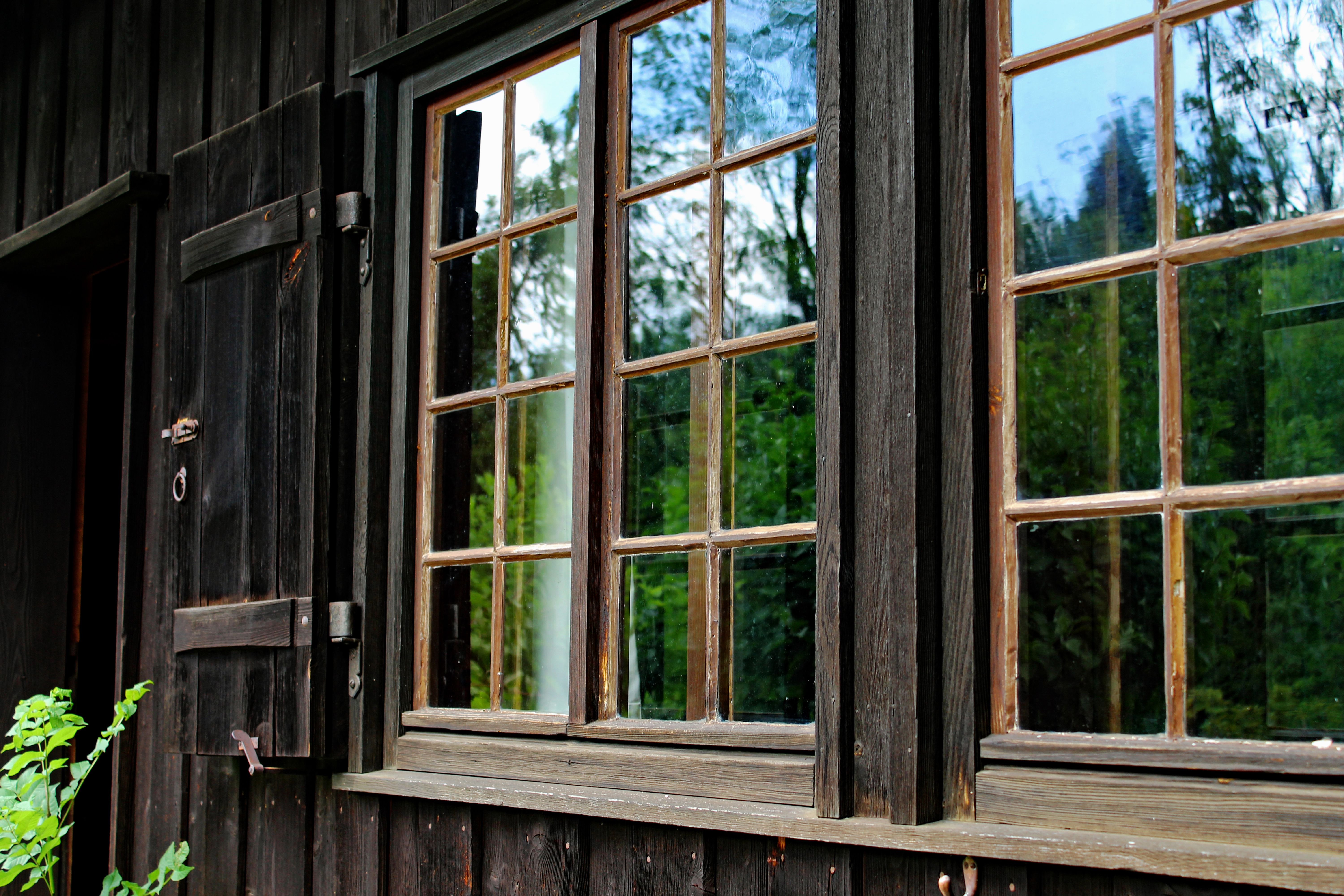 Windows+Slideshow+Random Photos, Download The BEST Free Windows ...