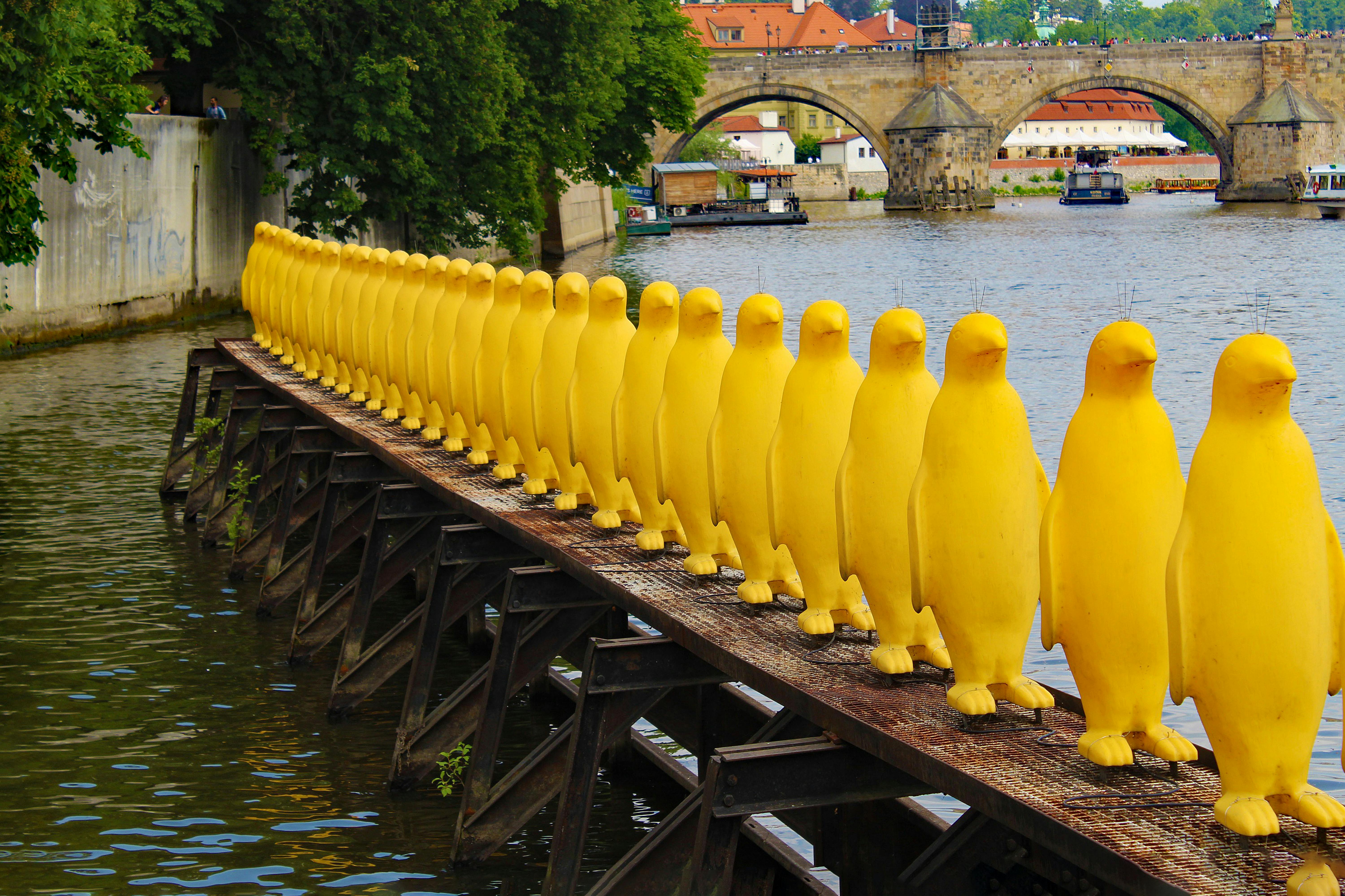 Missed Opportunities