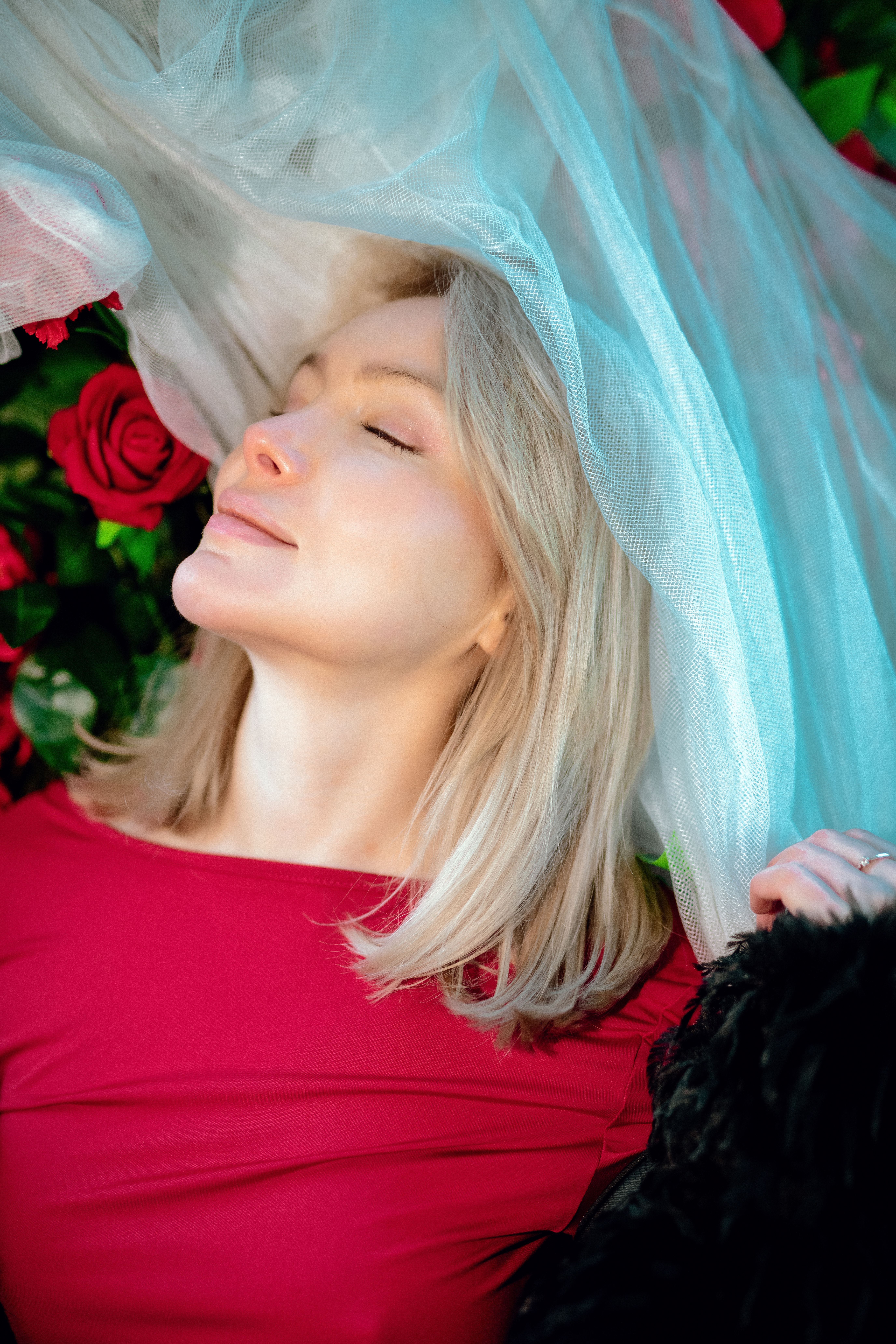 Serene Woman Relaxing Among Red Roses · Free Stock Photo