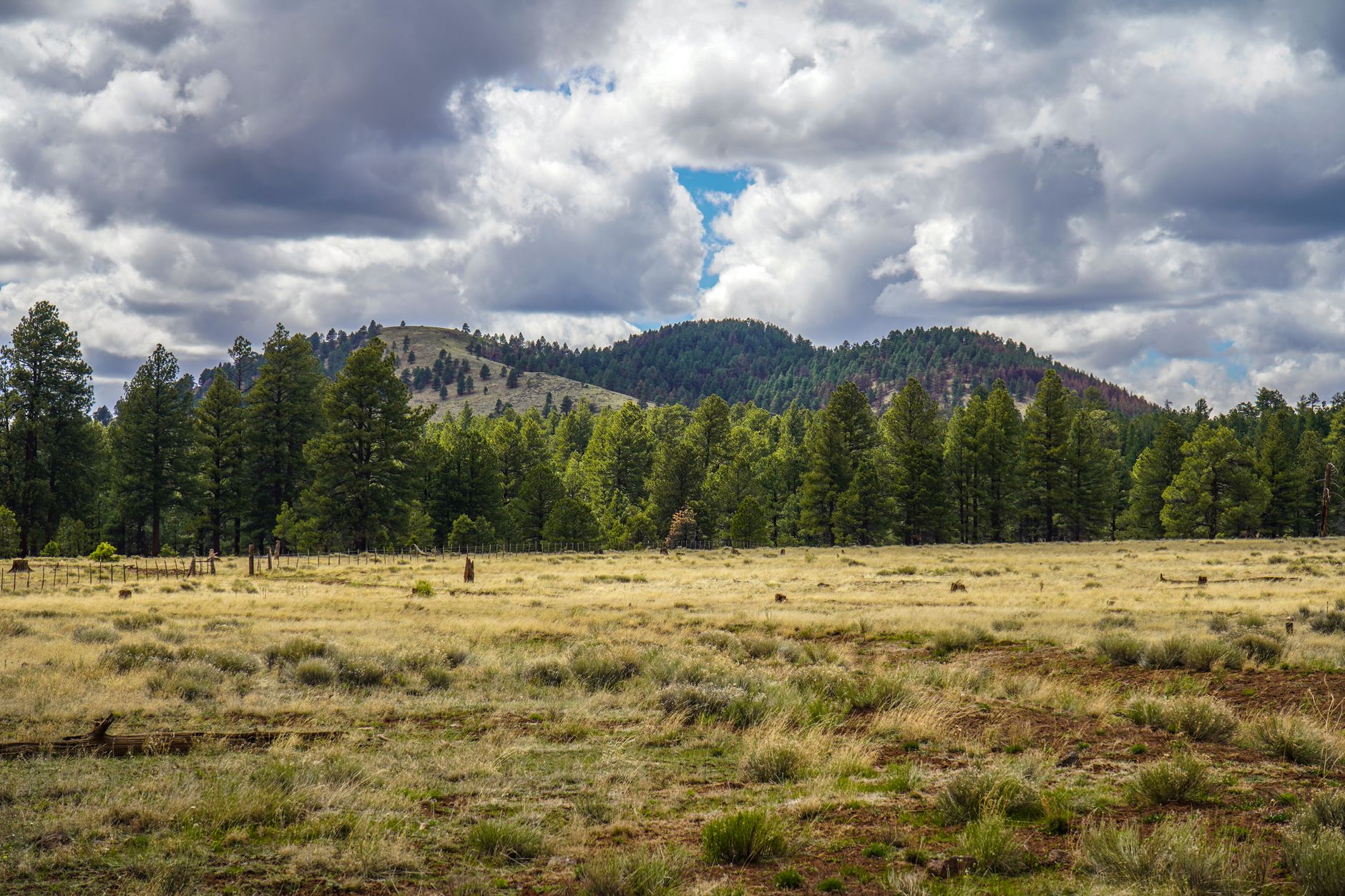 Airport transfers in Flagstaff Airport transfers in Flagstaff