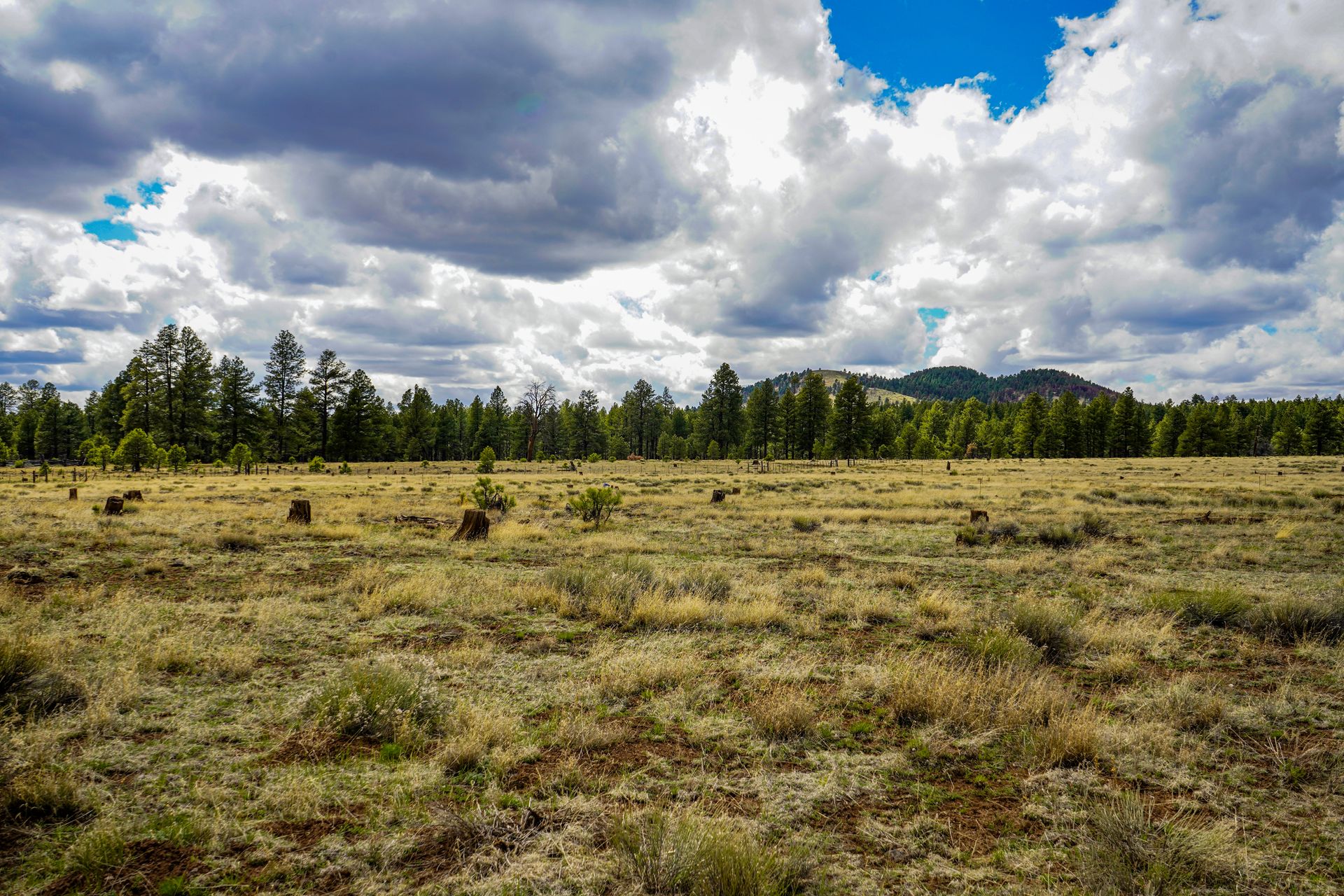 Flagstaff, Flagstaff AZ — neighborhood review