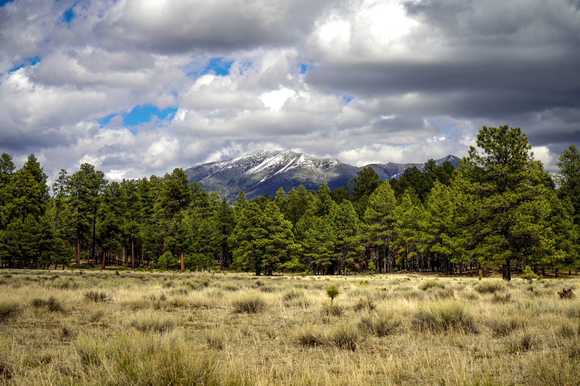 Flagstaff - Tiny Homes