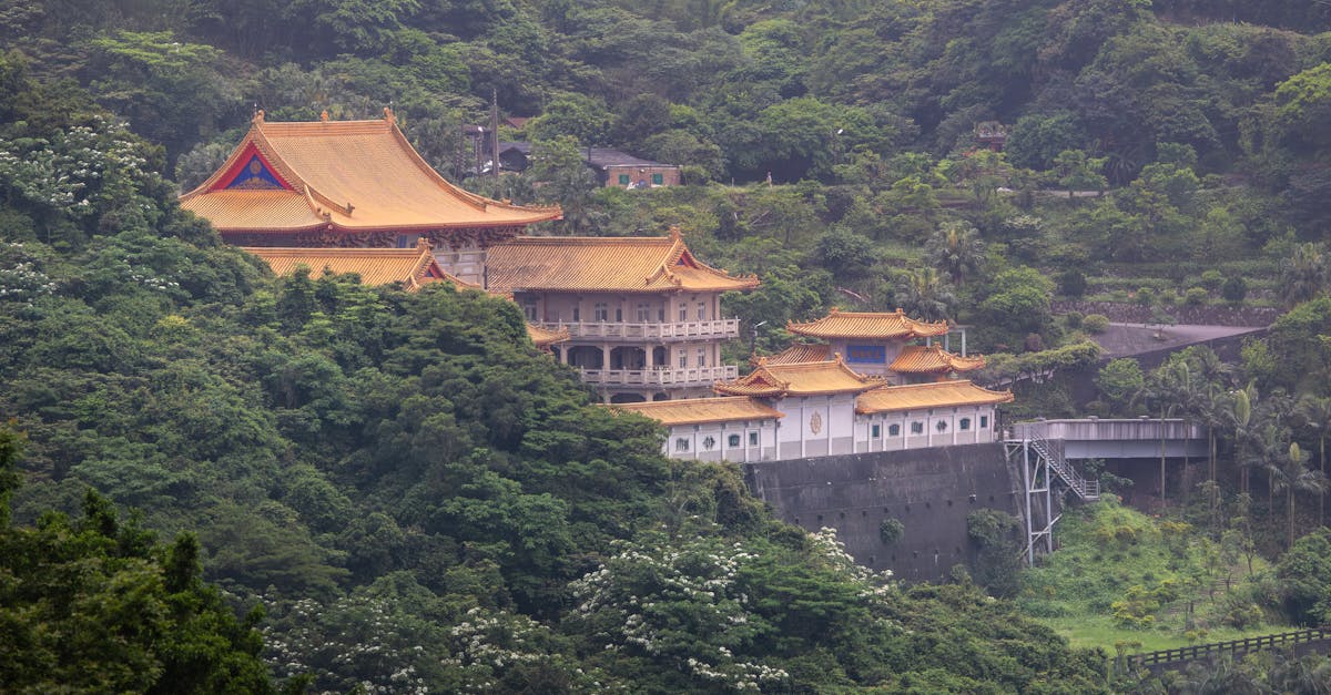 紫南宮真的有 老祖 嗎 廟方澄清網紅說法 教你正確拜拜順序