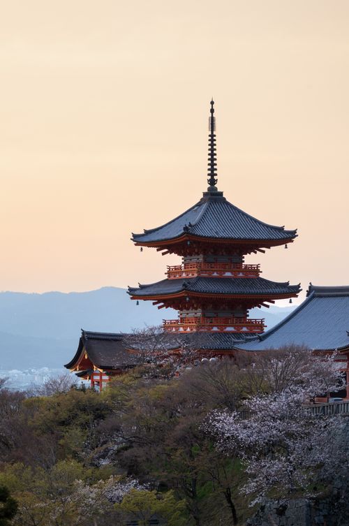 Free Captivating view of Kiyomizu-dera Pagoda surrounded by sakura blossoms at sunset in Kyoto, Japan. Stock Photo