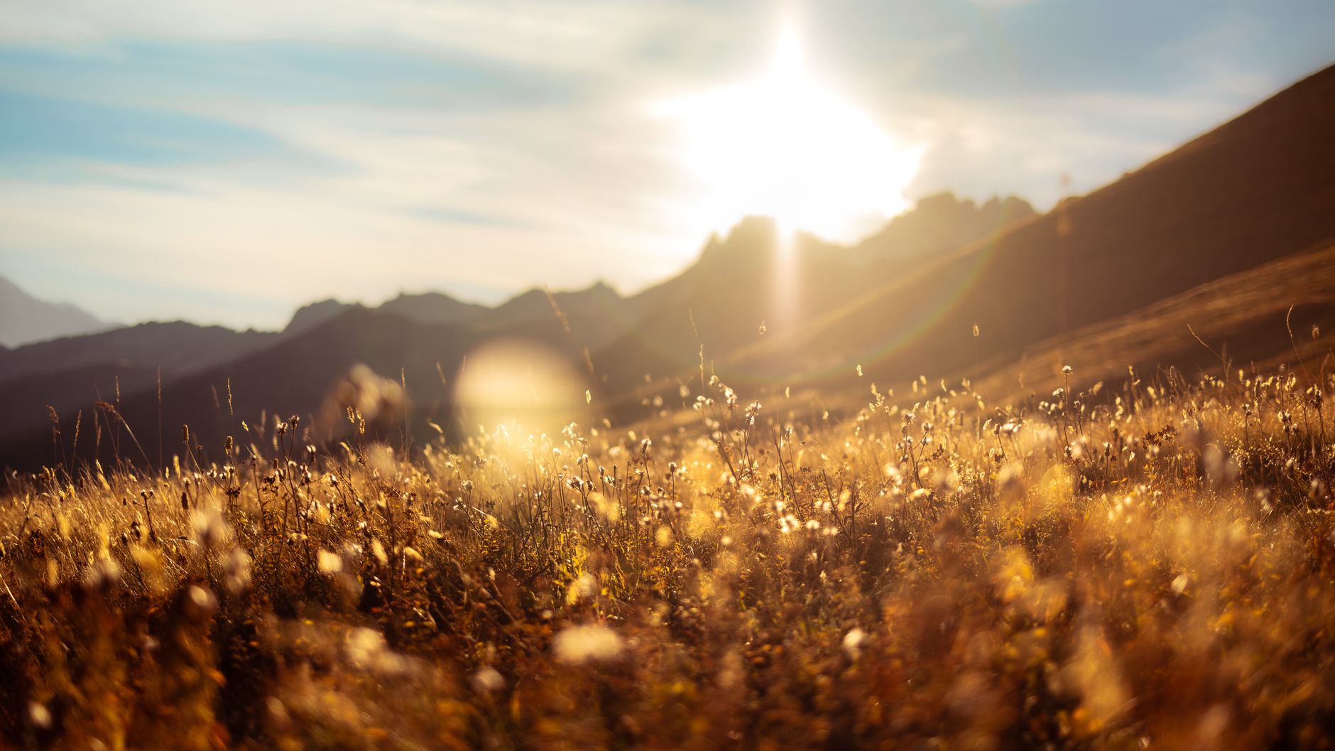 Vitamin D and Nutrition: Why the Sunshine Vitamin Is More Essential Than You Think