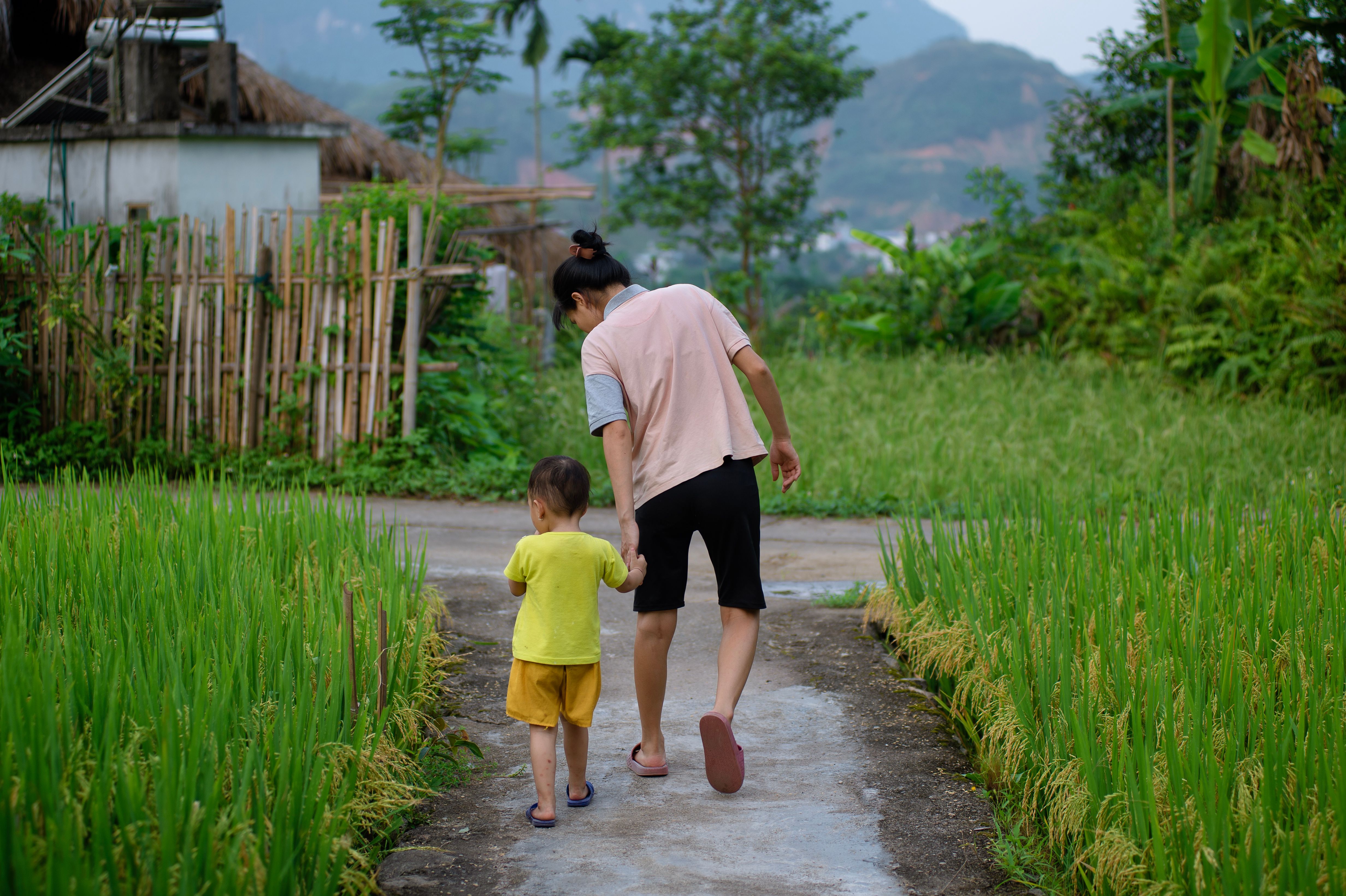Ein Vater und Kind gehen Hand in Hand auf einem Weg durch üppige Reisfelder in Hà Giang, Vietnam.