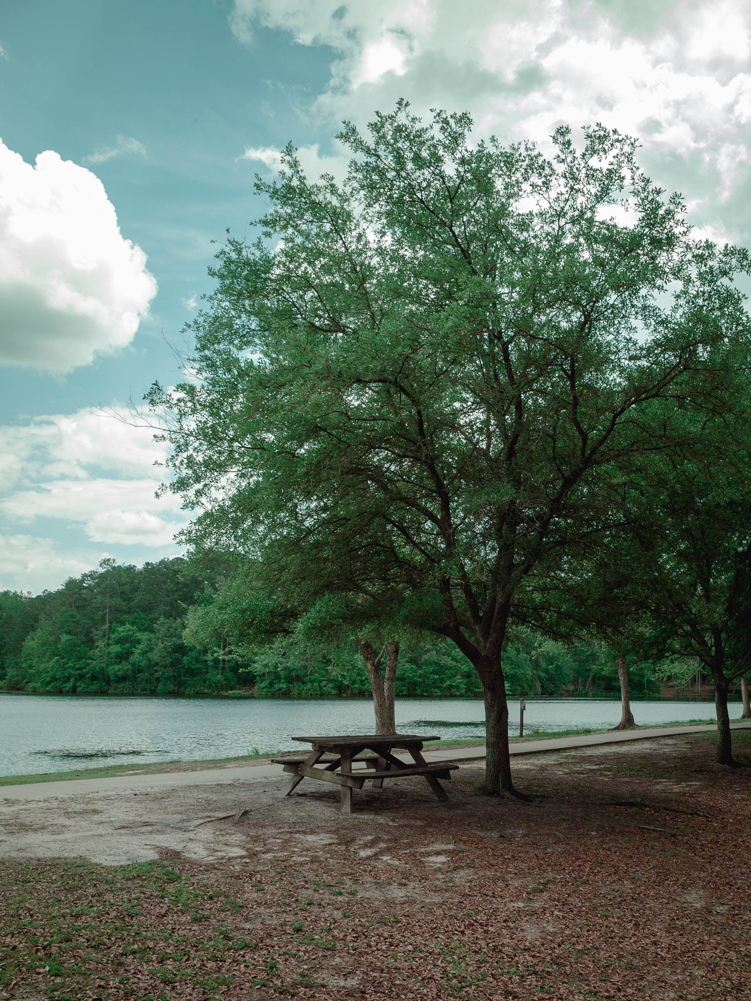 Columbia Sc Photos, Download The BEST Free Columbia Sc Stock Photos