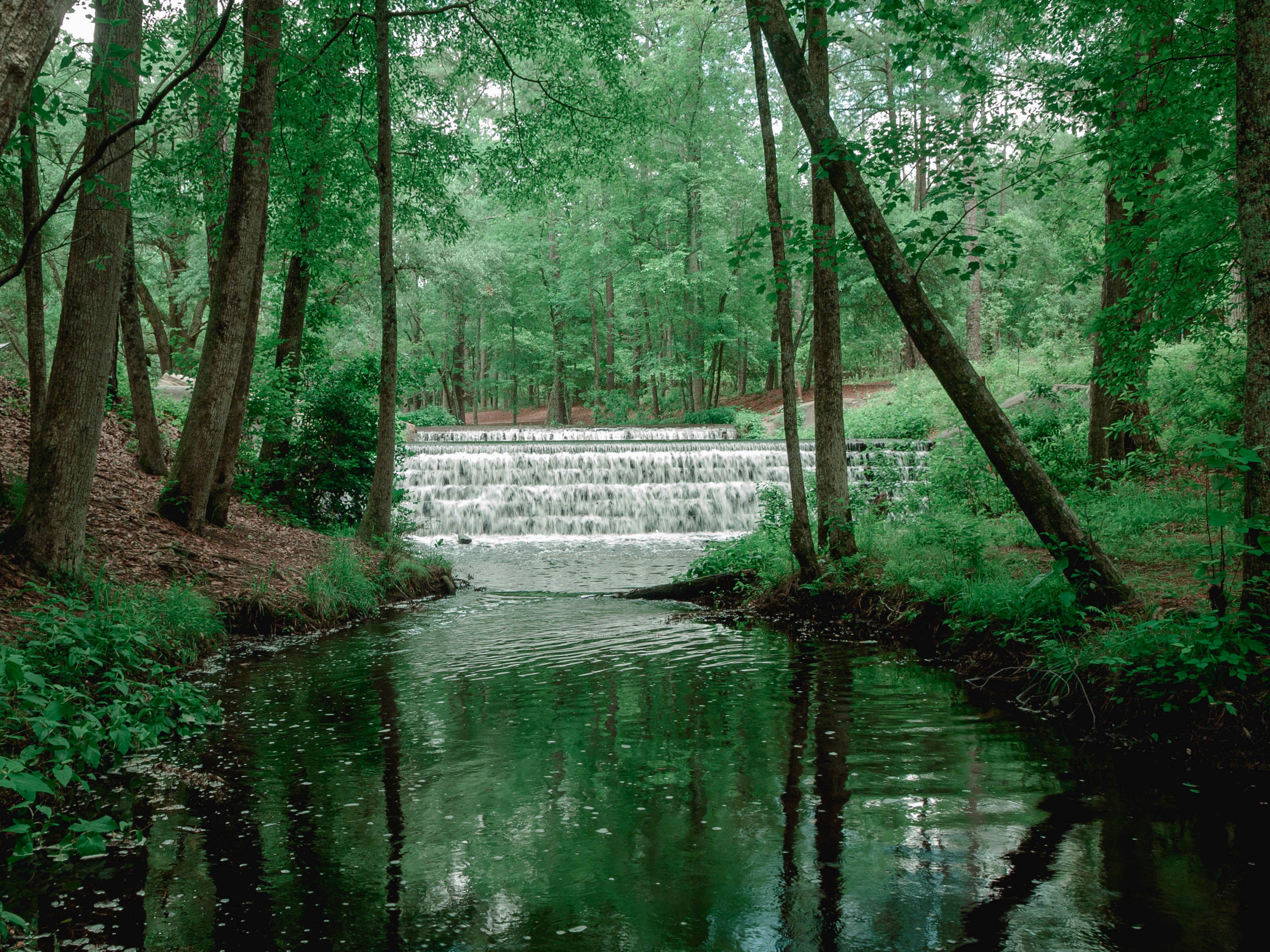 Serene waterfall amidst lush greenery in Columbia, South Carolina, offering a calming outdoor escape.