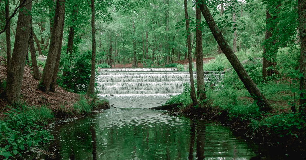 Serene waterfall amidst lush greenery in Columbia, South Carolina, offering a calming outdoor escape.
