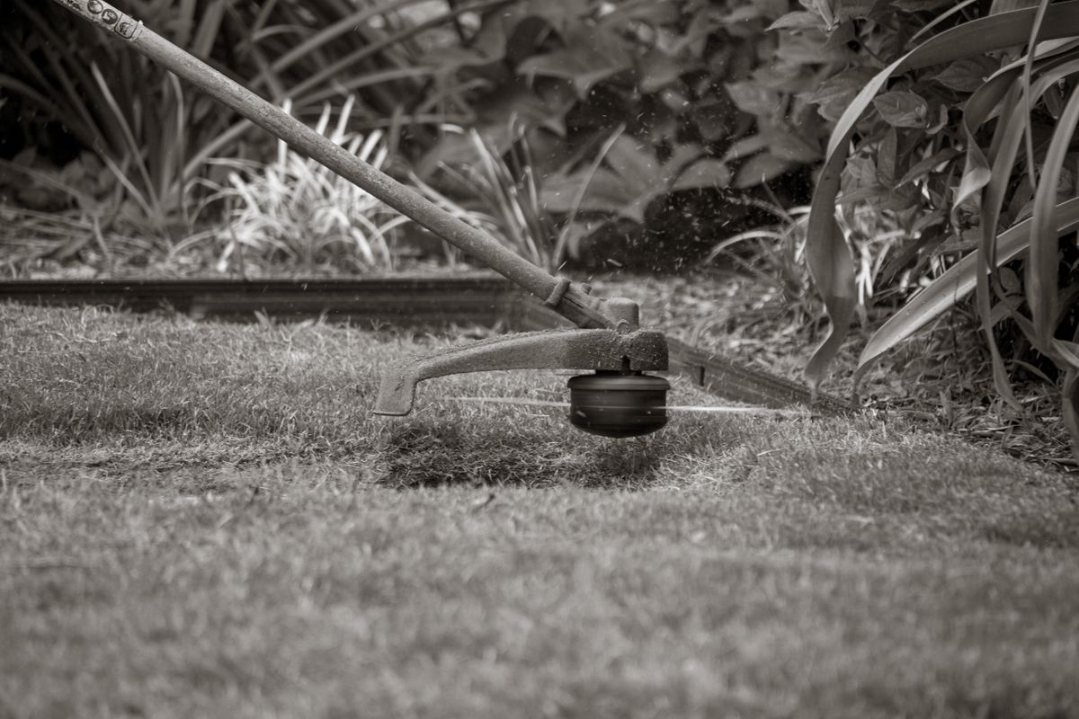 Close view of a grass trimmer cutting through lawn against dense foliage