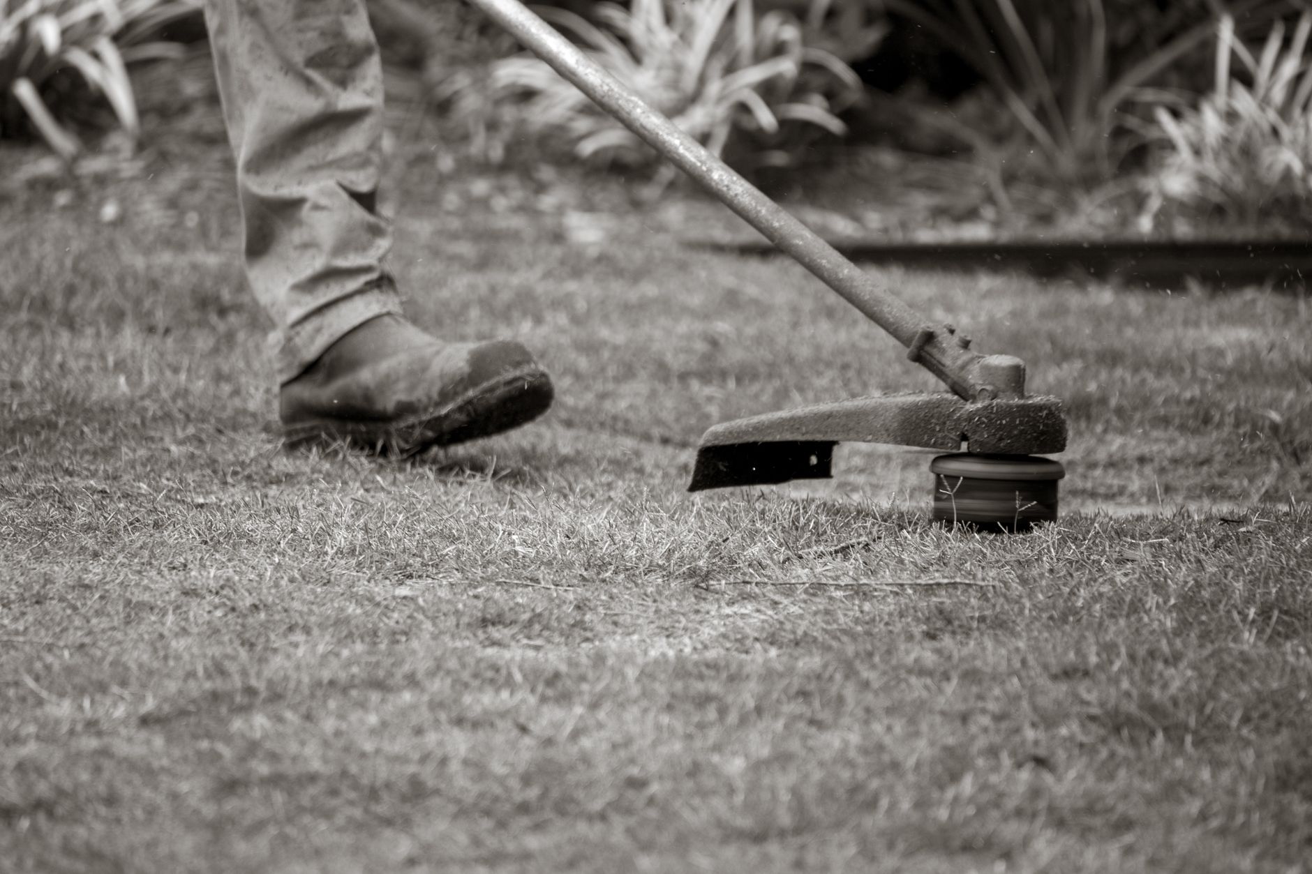 LOCAL_PROBLEM — Your Yuba City home’s curb appeal is dropping fast as spring rains expose neglected repairs in Yuba City