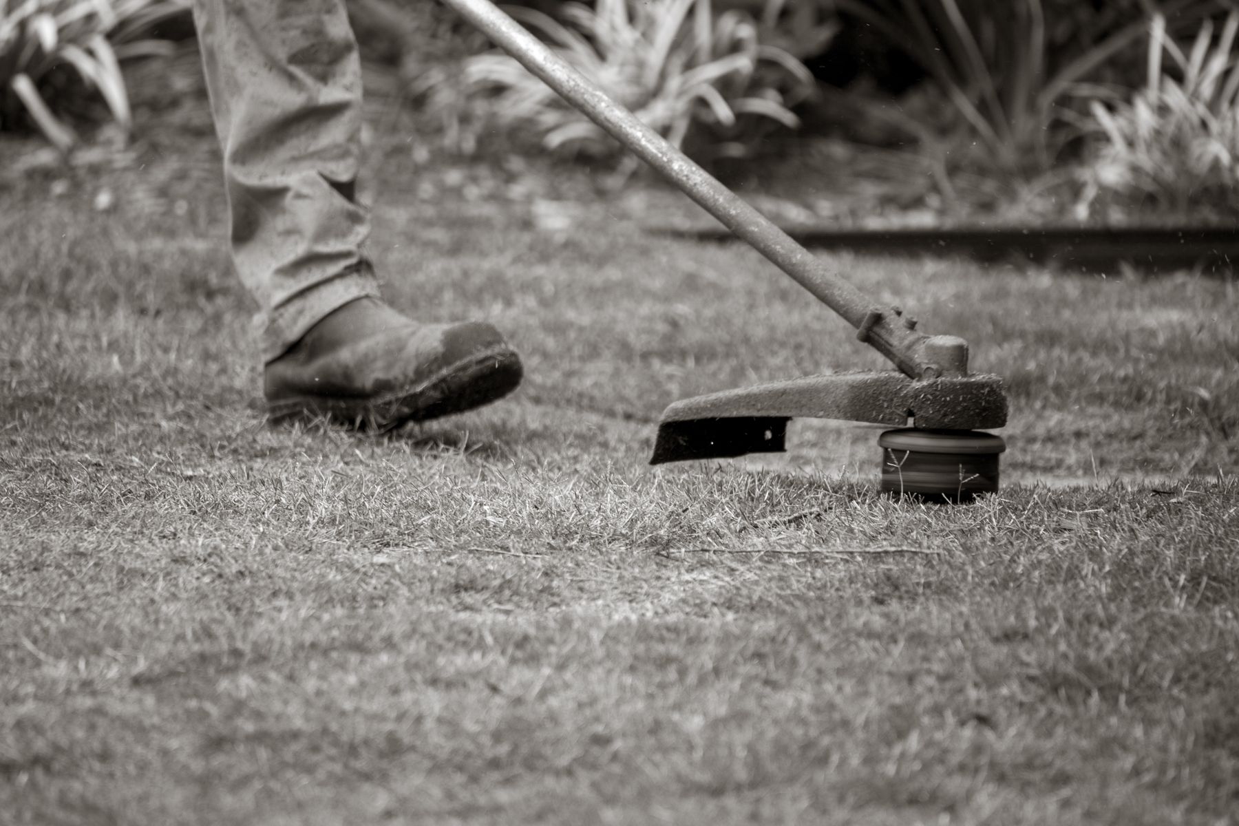 Landscape maintenance