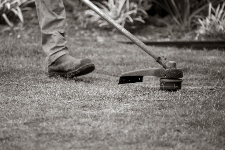 A worker uses a string trimmer to maintain a lawn, focusing on the grass edges outdoors.